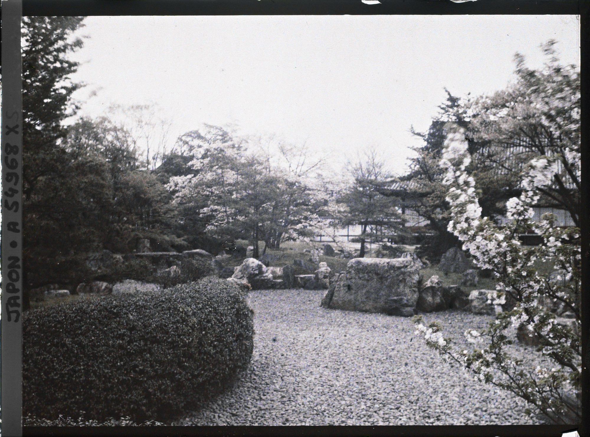 Image représentant Palais Nijô-jô : jardin du palais Ni-no-Maru