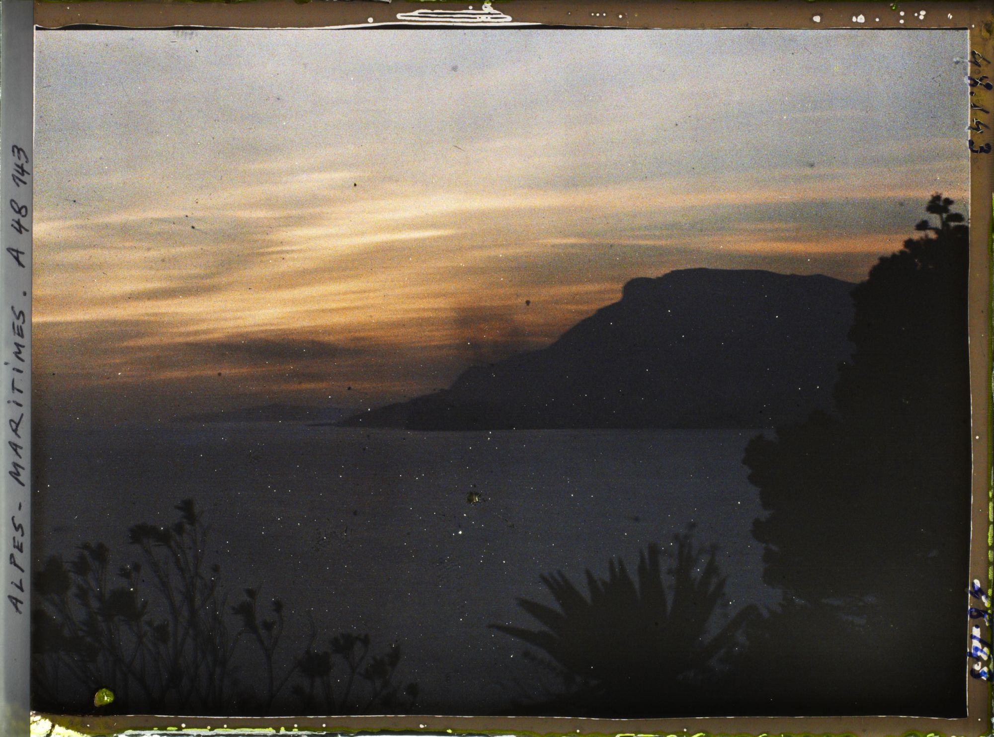 Image représentant Végétation se découpant à contre-jour dans le coucher de soleil, vue en direction de Monaco