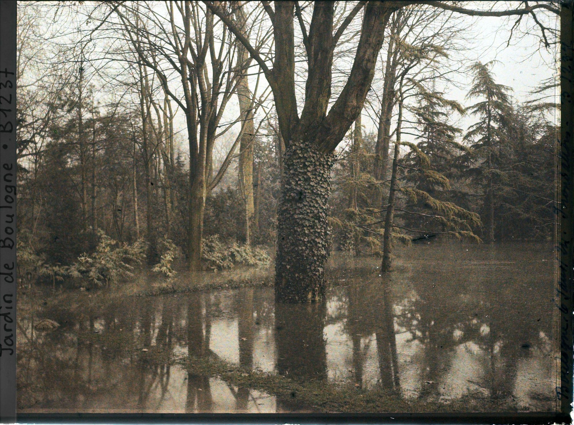 Image représentant la grande pelouse inondée
