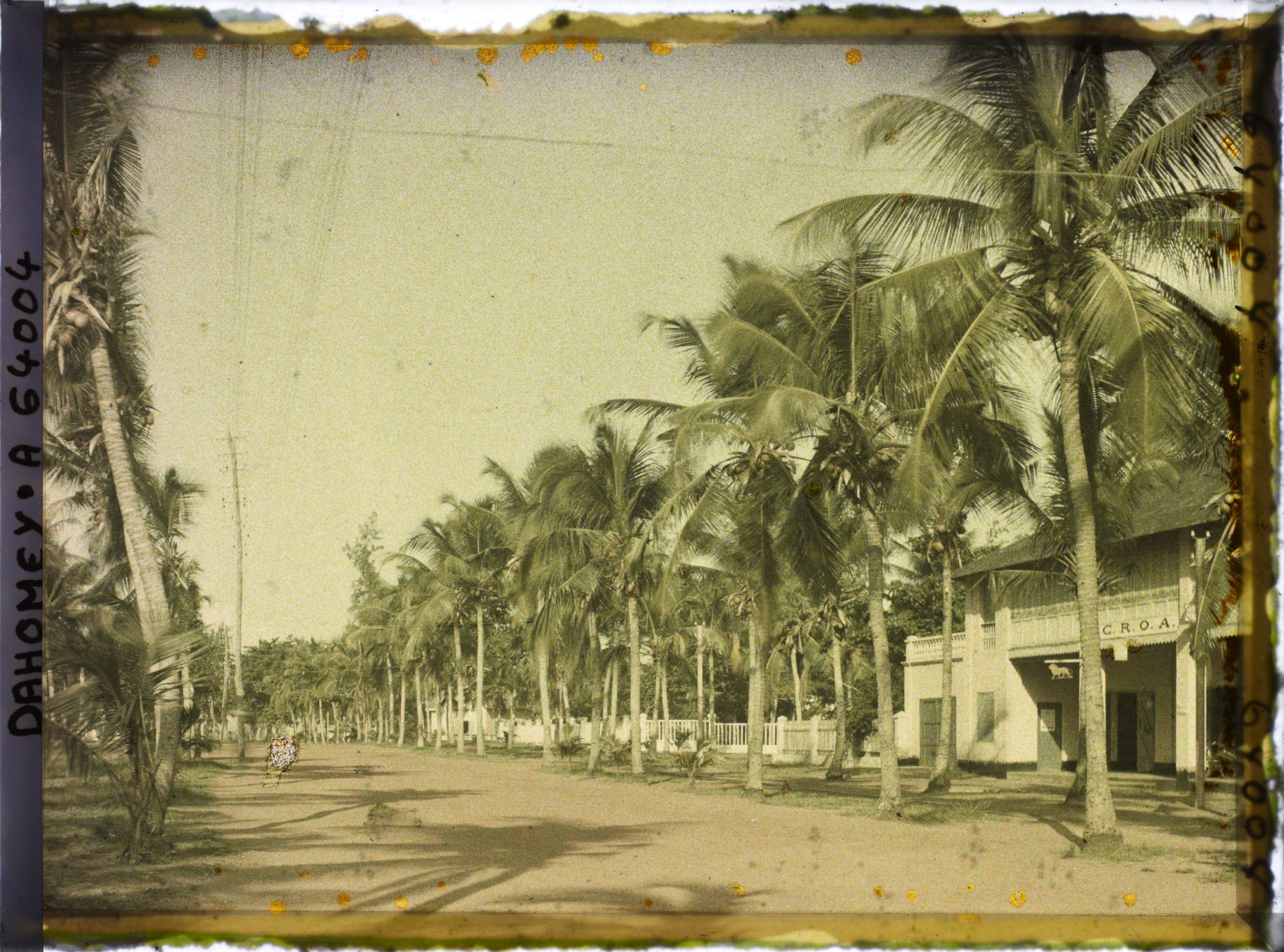 Image représentant L'avenue de la Lagune dans le quartier européen