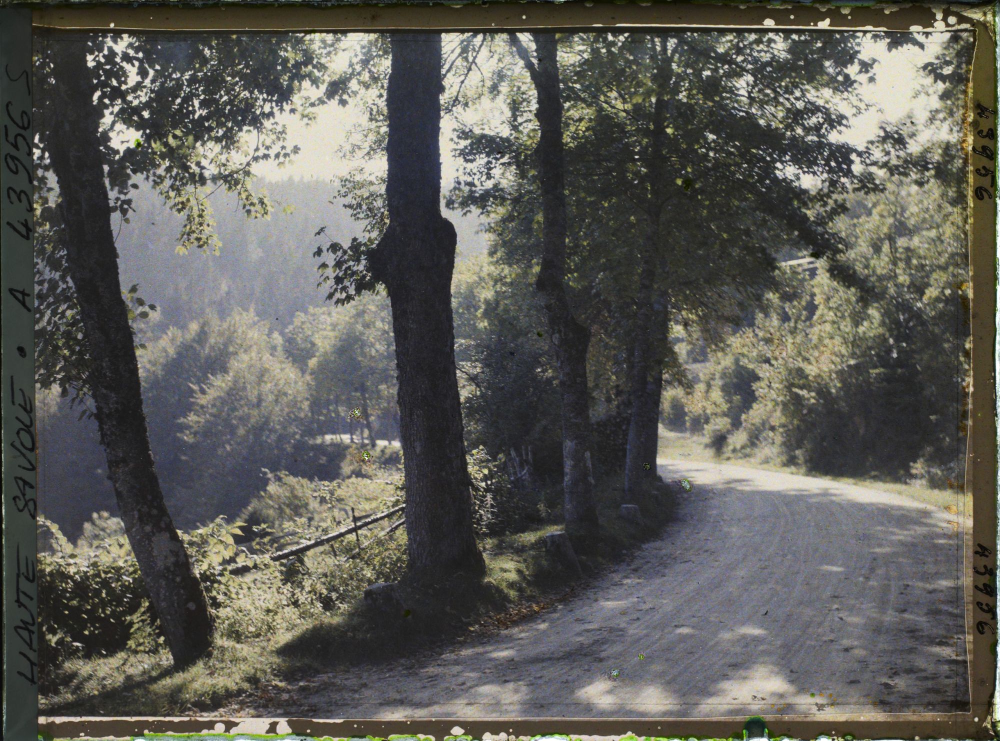 Image représentant La route de La Cure à Saint-Cergue