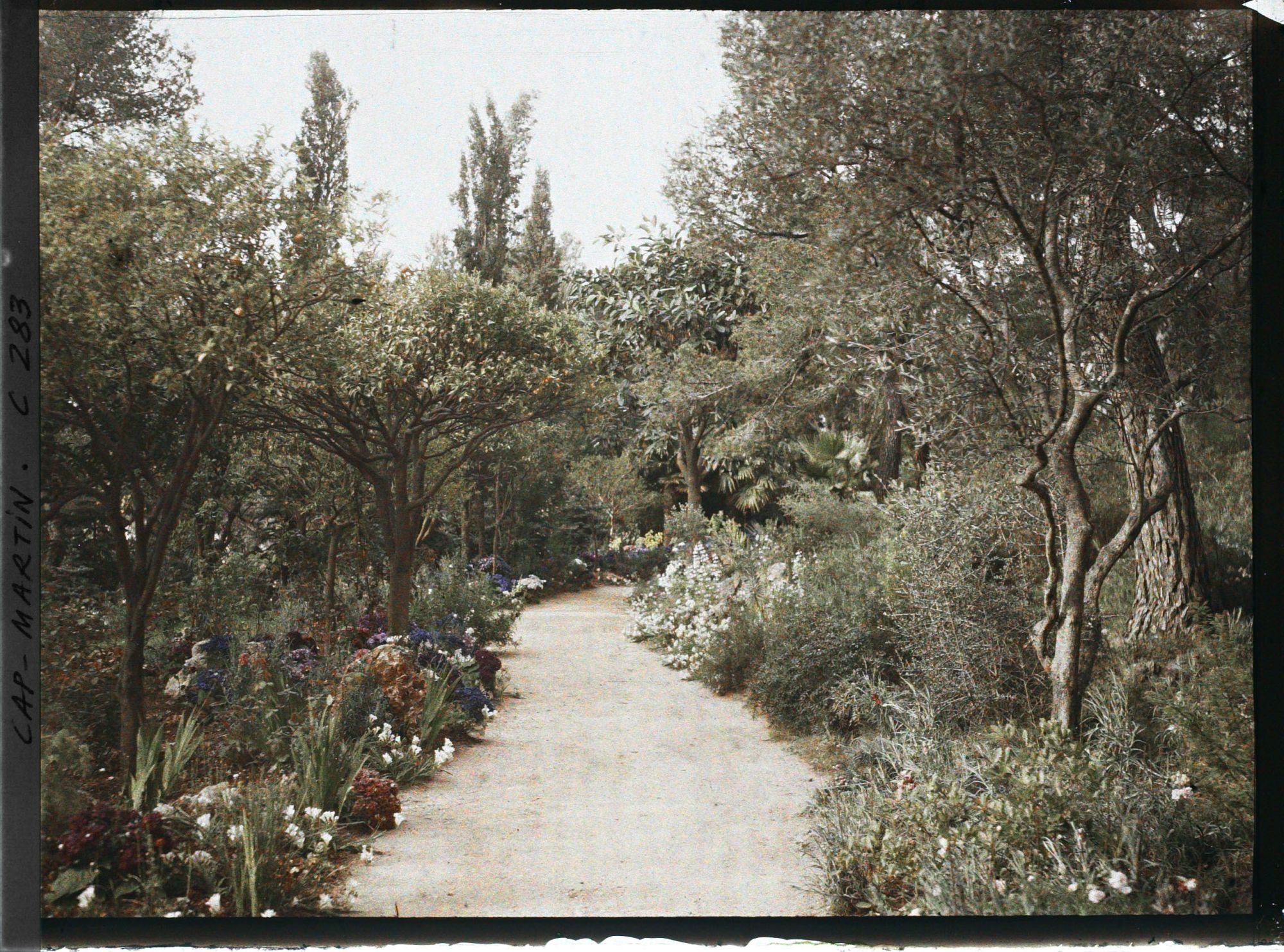 Image représentant Cap-Martin - Le Jardin