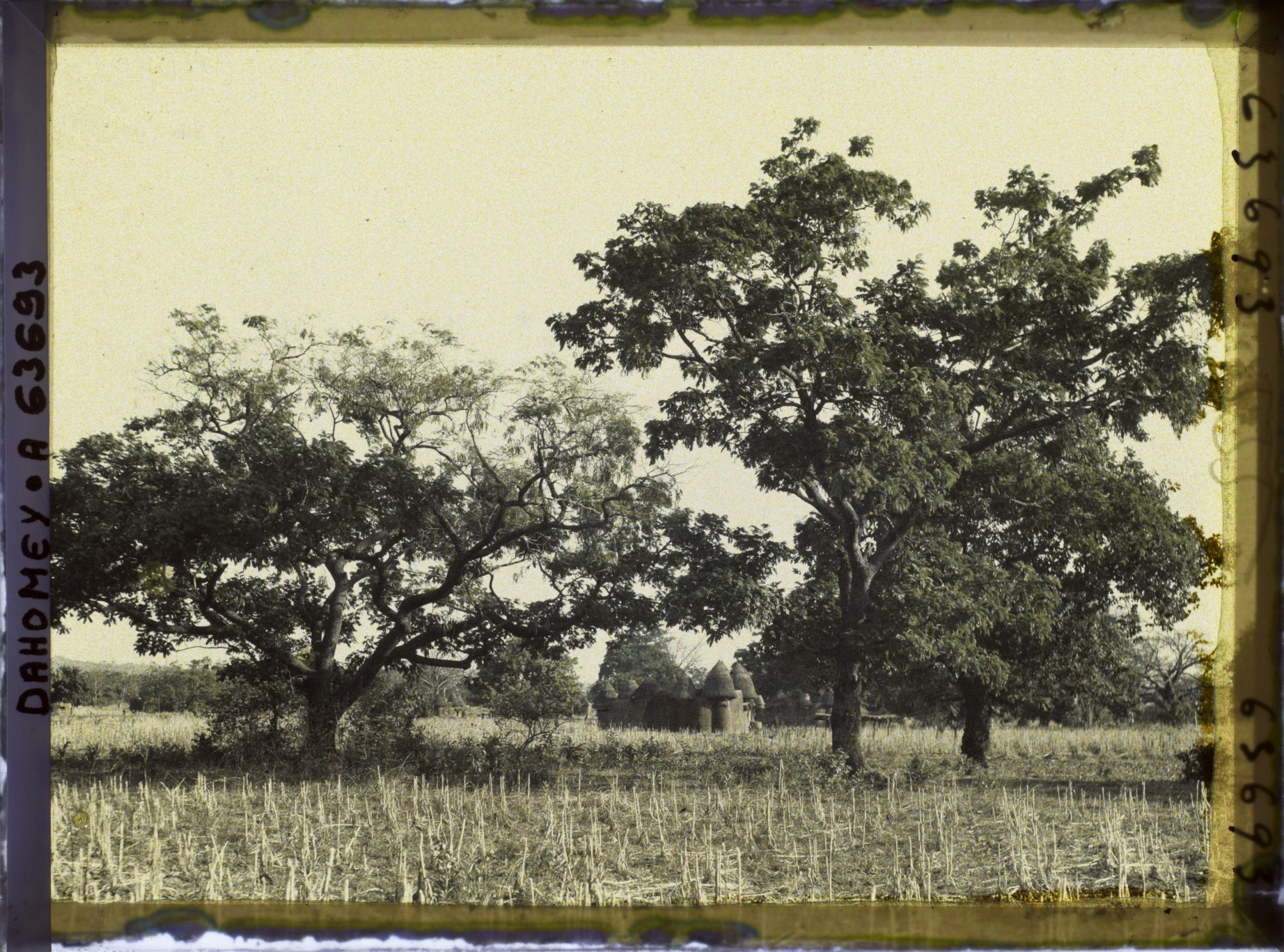 Image représentant Paysage et tatas (cases)  " sombas "