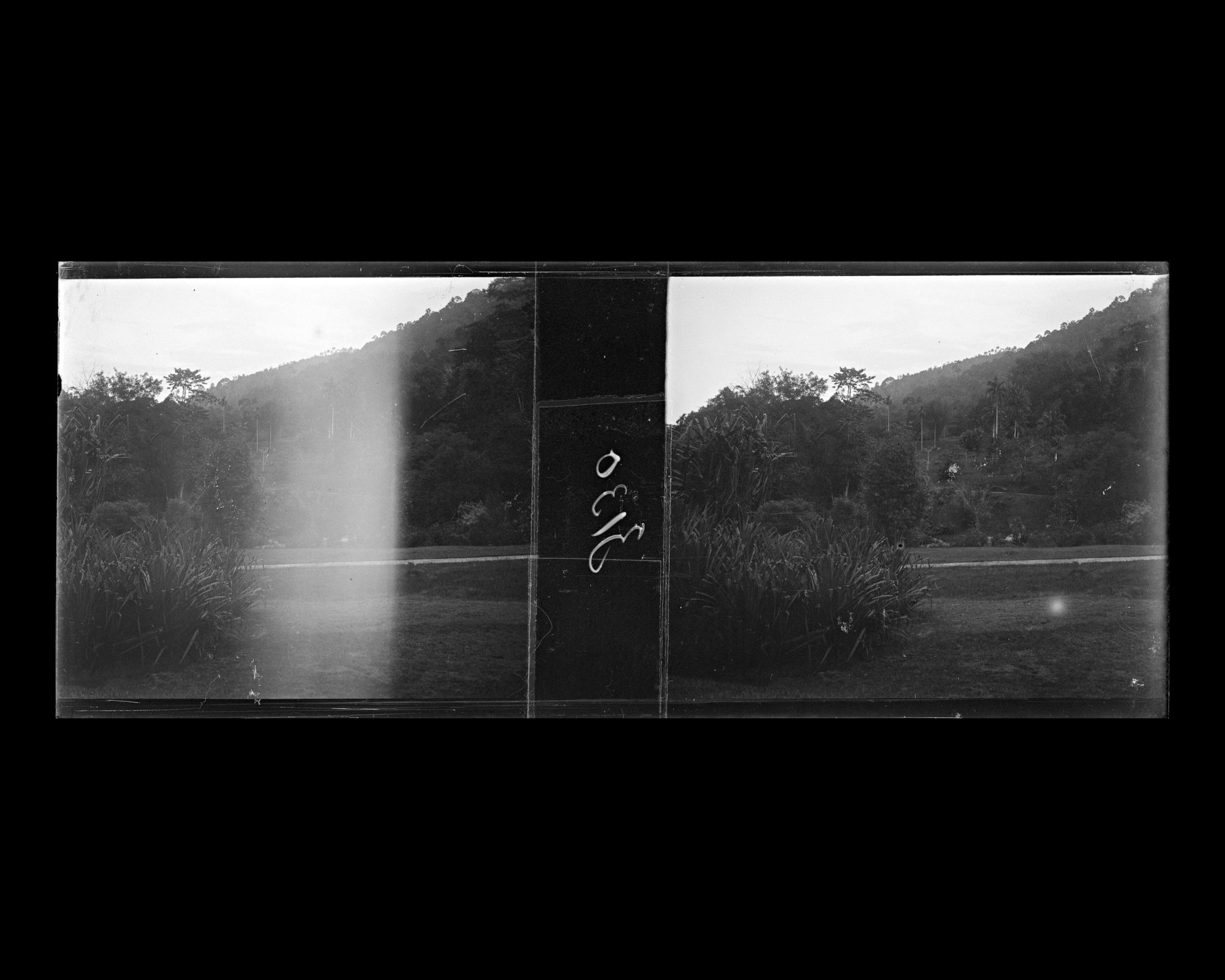 Image représentant Le jardin botanique