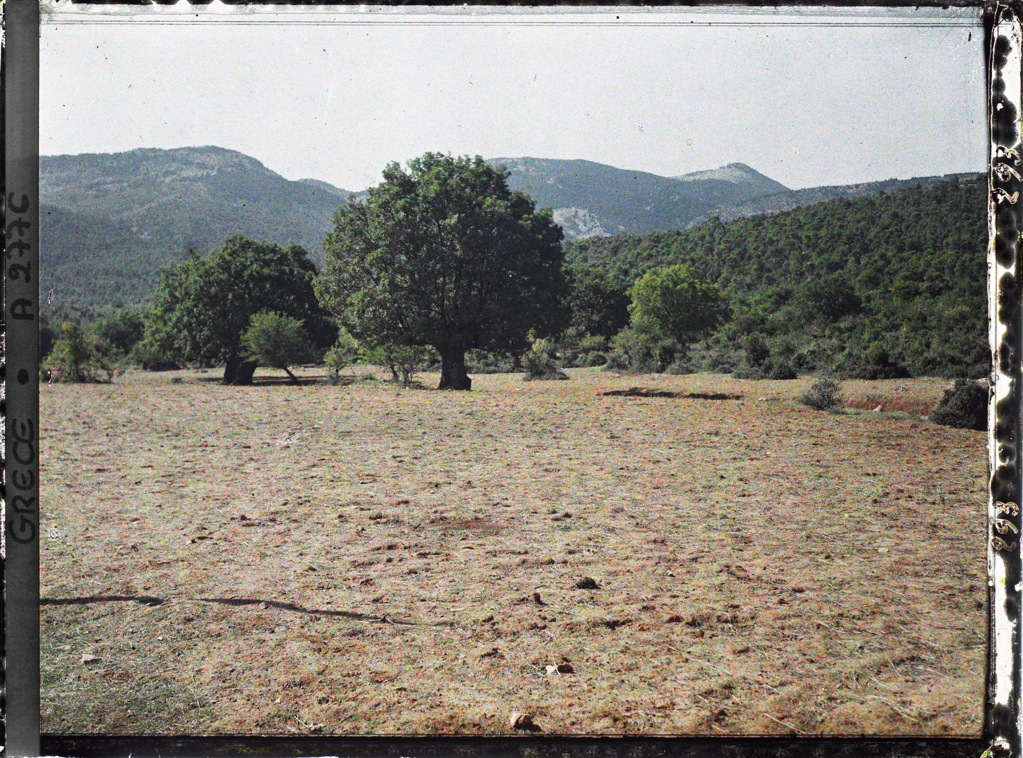Image représentant Sur la route d'Athènes au pied du Parnes