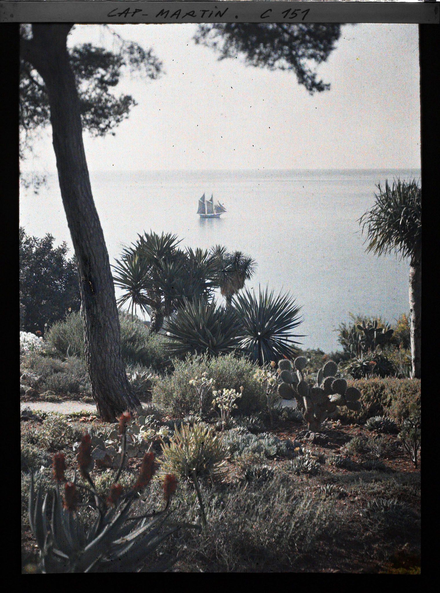 Image représentant Cap Martin - Le Jardin