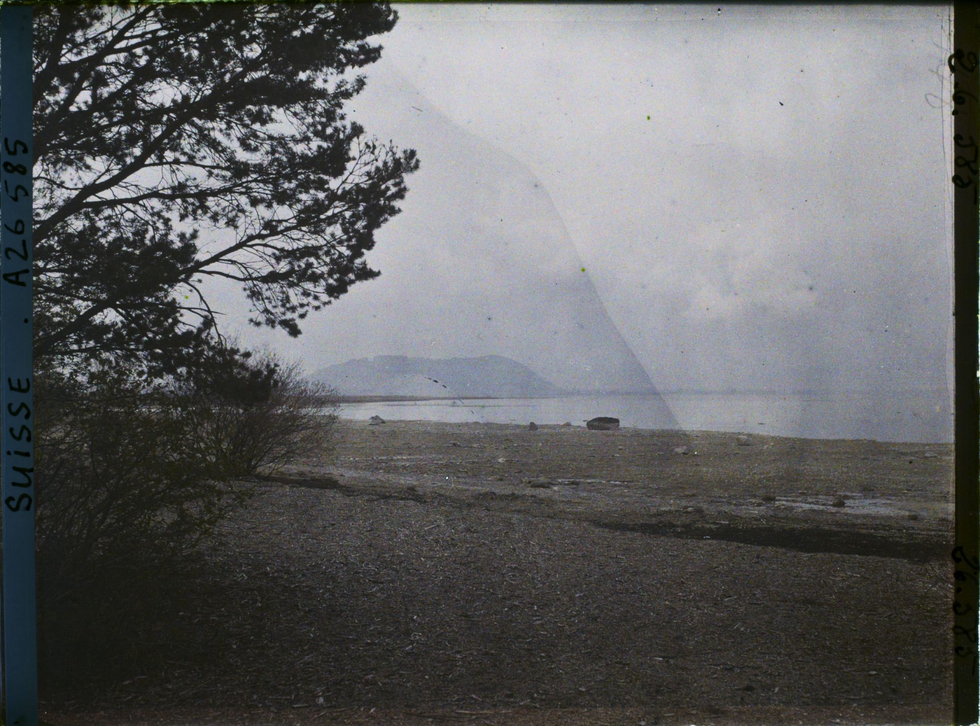 Image représentant Les rives de l'île Saint-Pierre