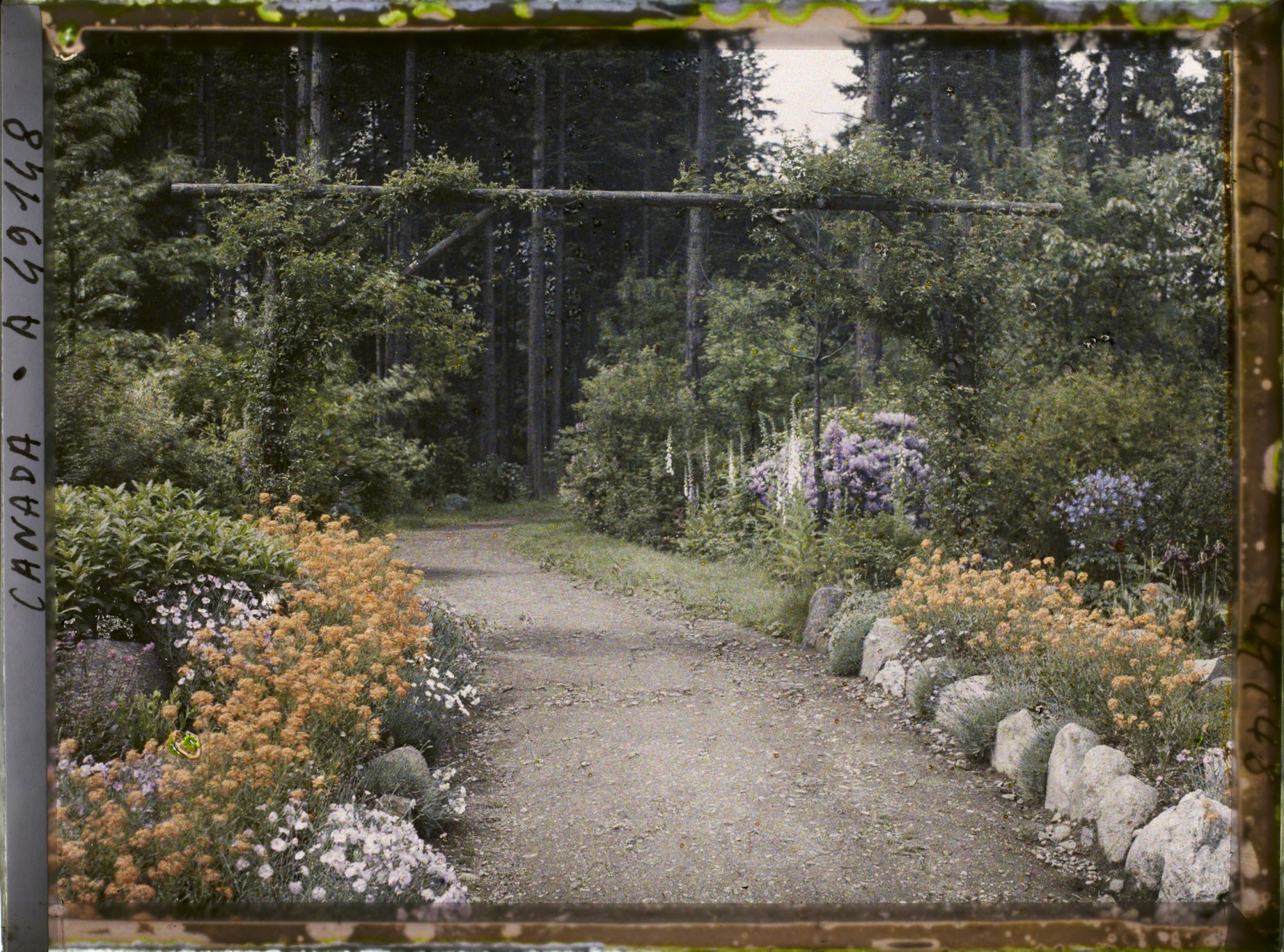 Image représentant Canada, Vancouver, Stanley Parc, Une allée fleurie