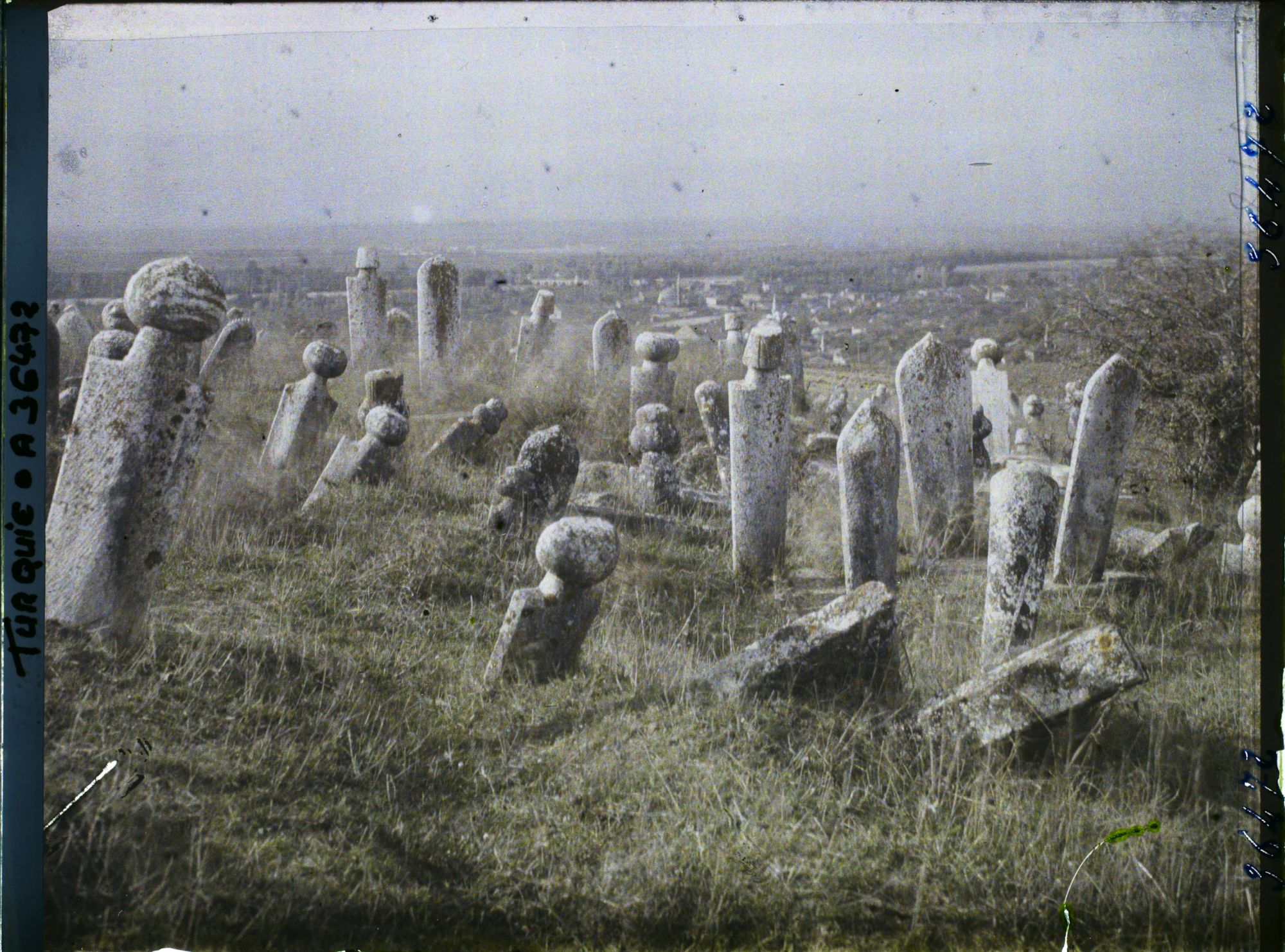 Image représentant Cimetière musulman (tombes et colonnes funéraires plantées sur une surface herbeuse)