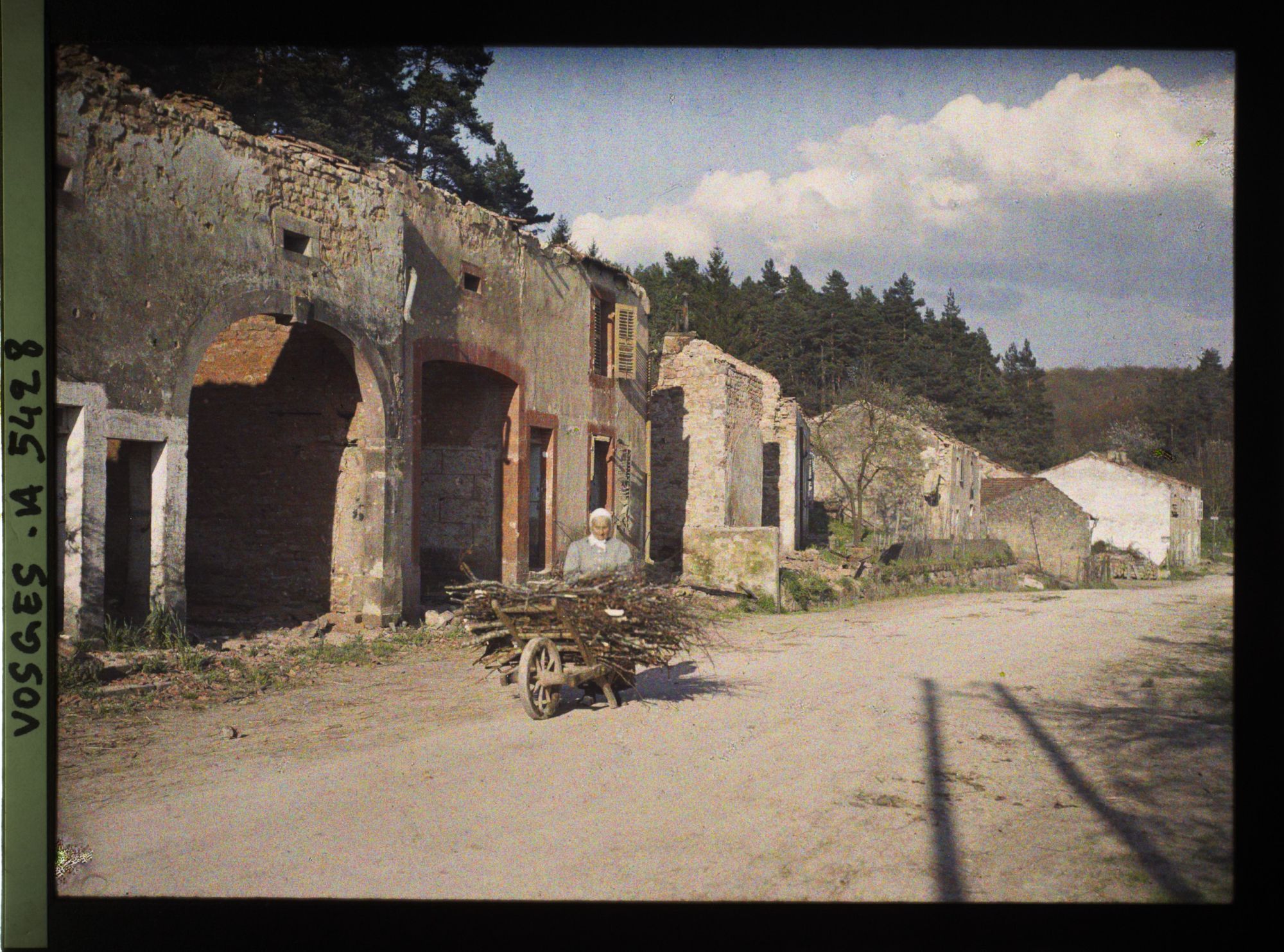 Image représentant Saint-Benoist et pins derrière les ruines