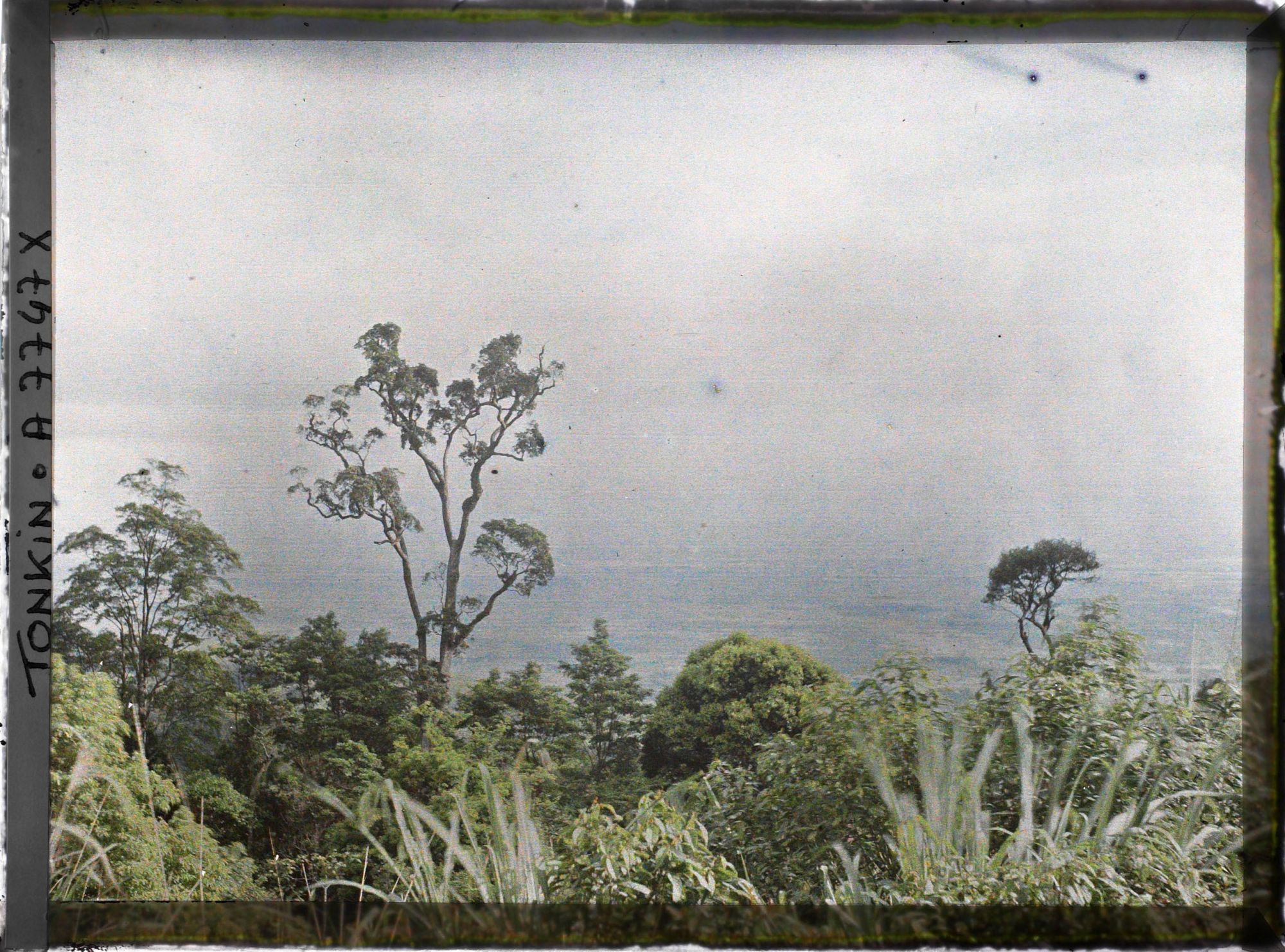 Image représentant Un paysage pris du massif du Tam-dao (" Trois Sommets ")
