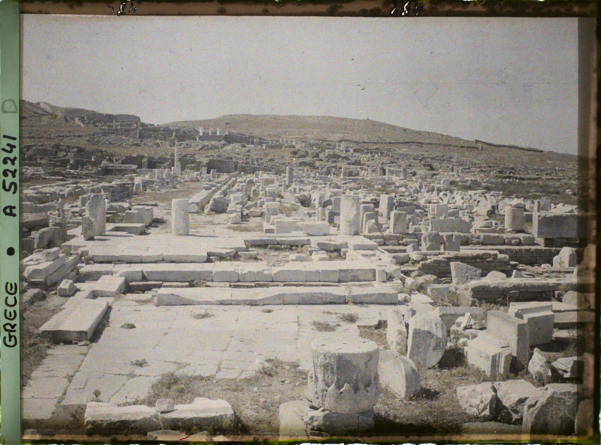 Image représentant Grèce, Delos, Ensemble sur les Propylées et l'Avenue des Processions