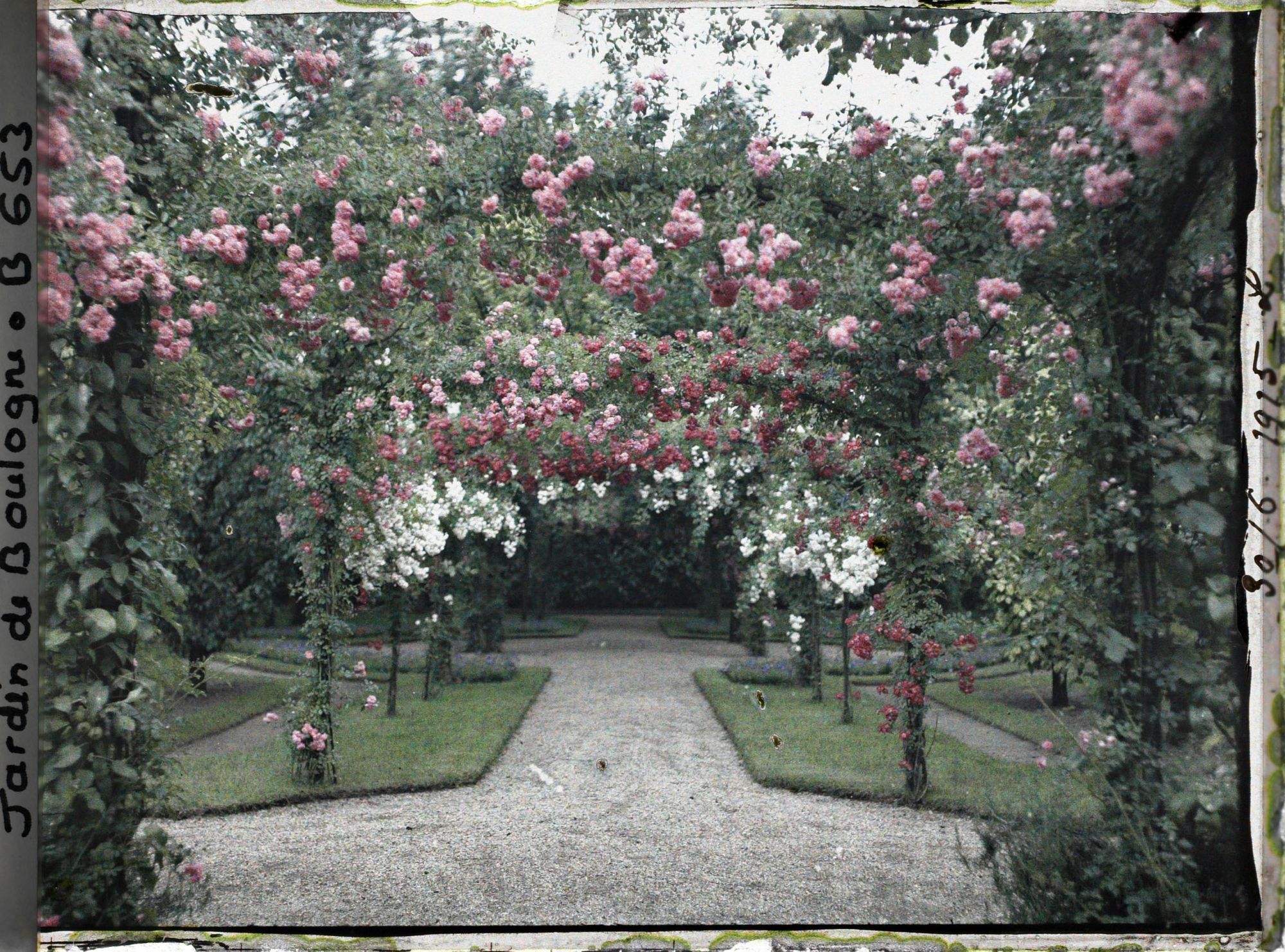 Image représentant Axe central du verger-roseraie vu depuis le second carrefour avant la dépendance