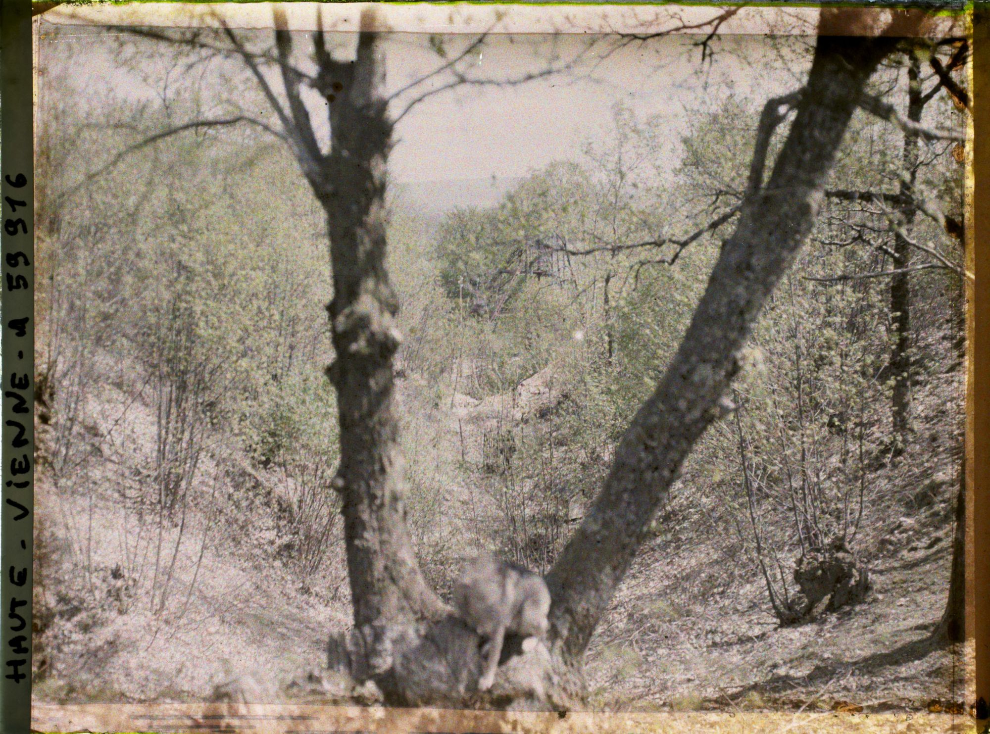 Image représentant L'ancienne fosse de mine aurifère Champvert