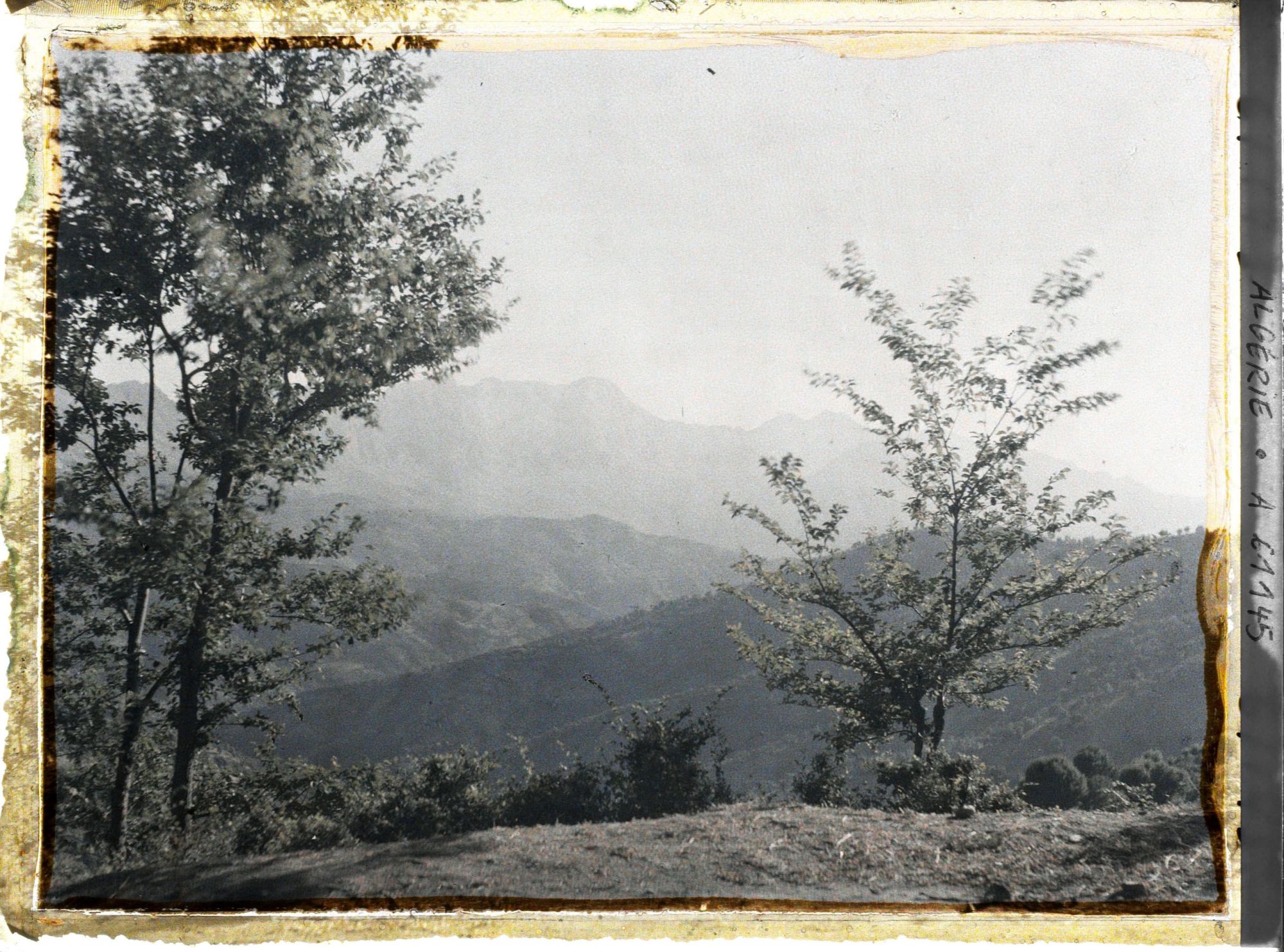 Image représentant Vue de la chaîne du Djurdjura