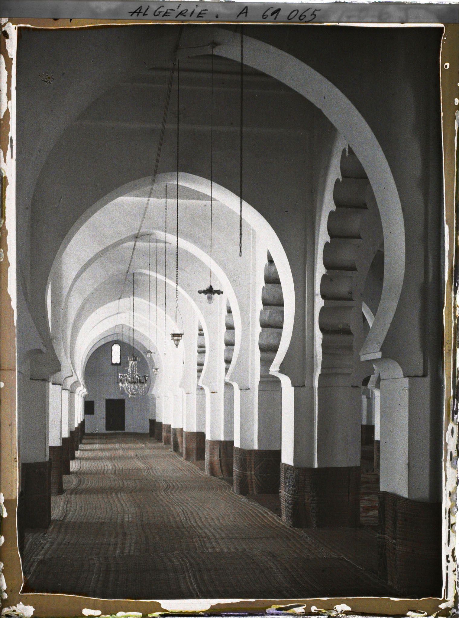 Image représentant La salle de prière de la grande mosquée