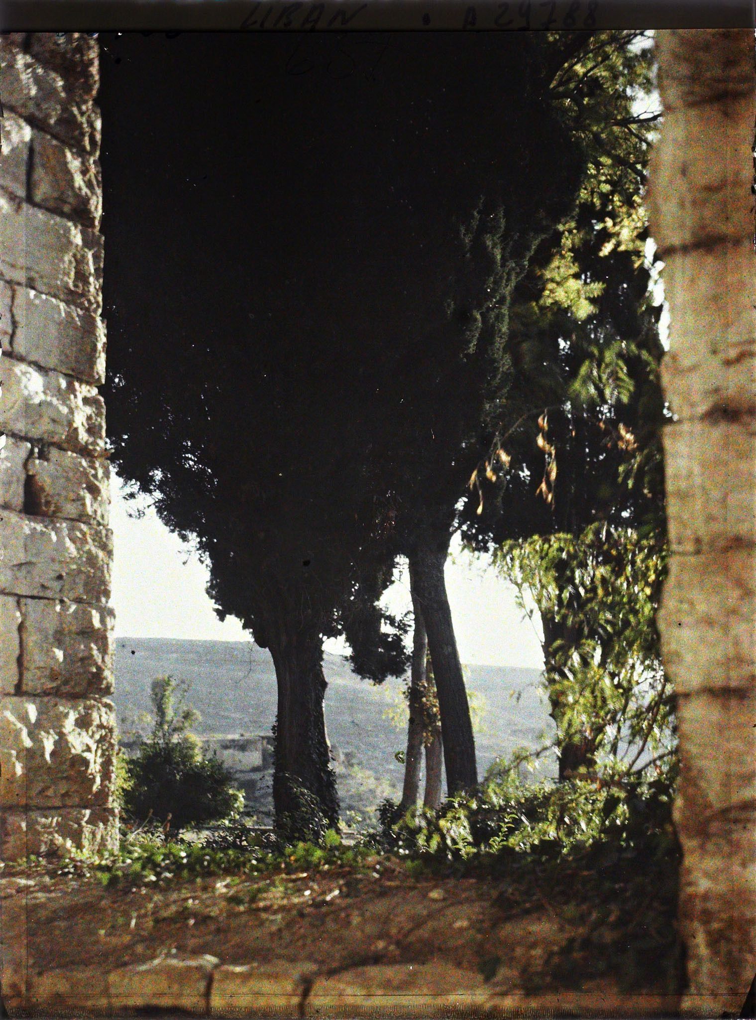 Image représentant Paysage pris depuis la terrasse du palais