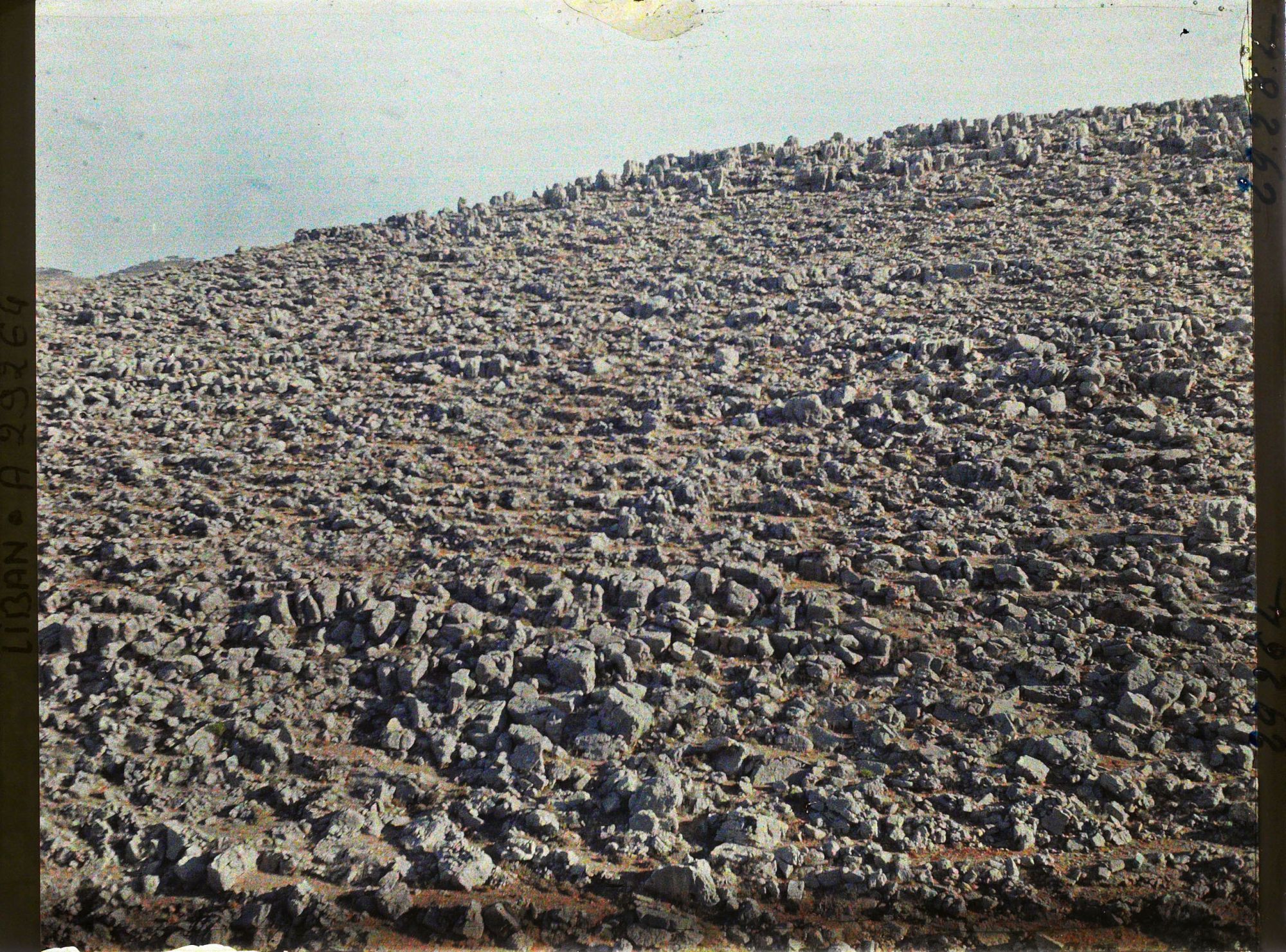 Image représentant Rochers karstiques