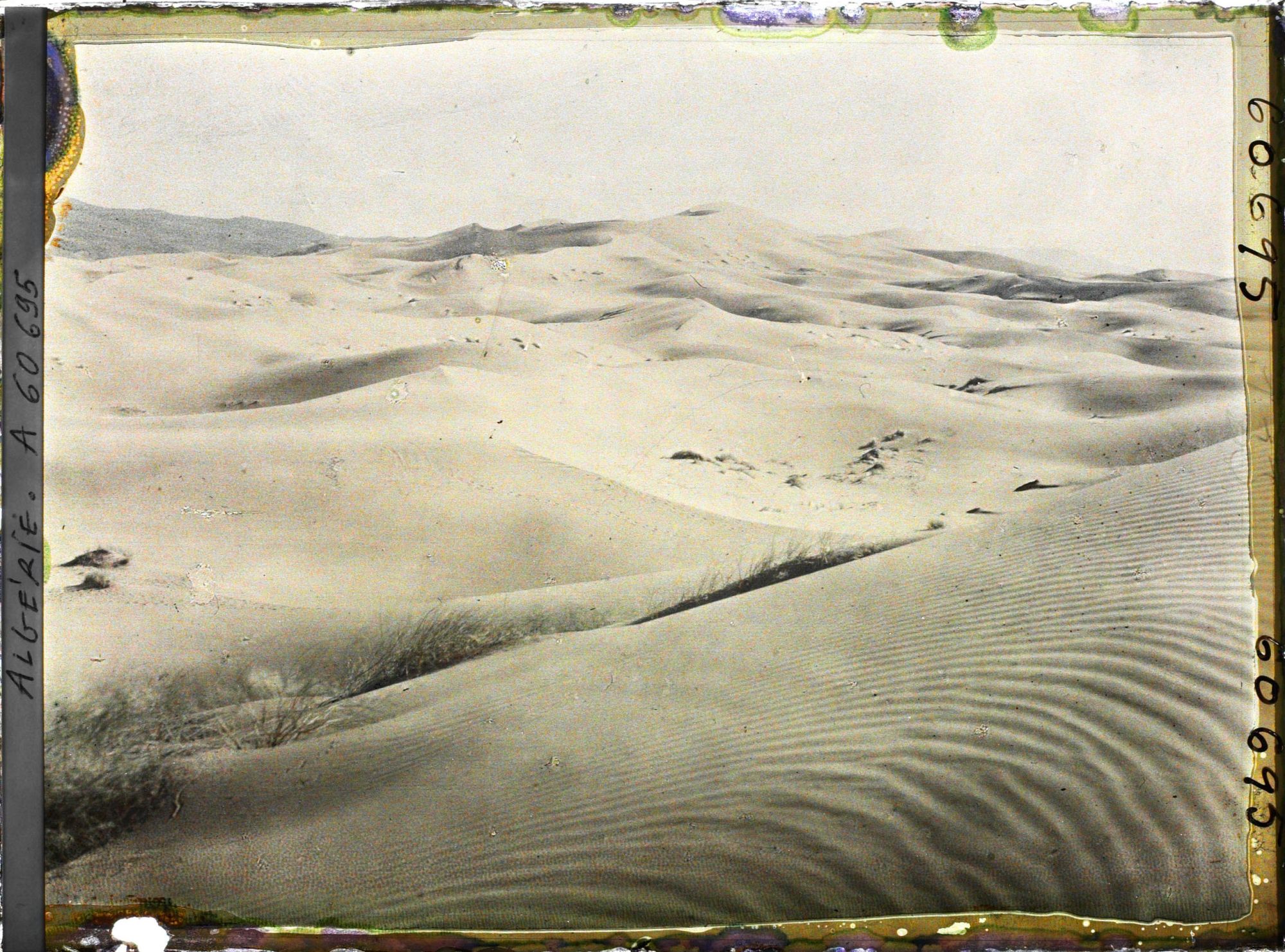 Image représentant La grande dune le soir avec au fond, le Djebel Mekter