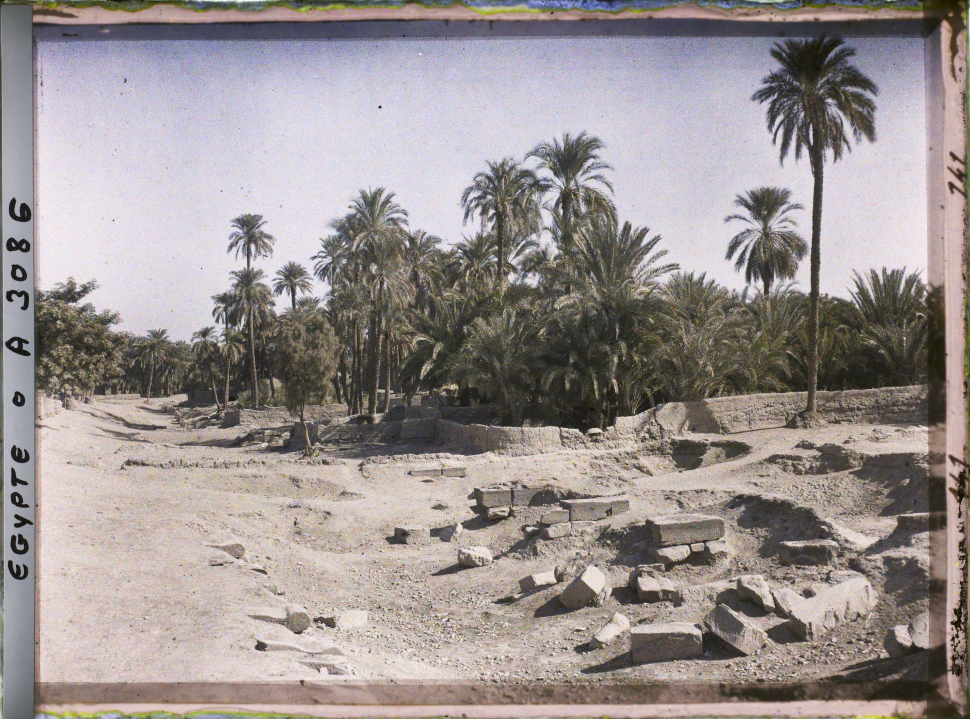Image représentant Palmeraie sur la route de Karnak