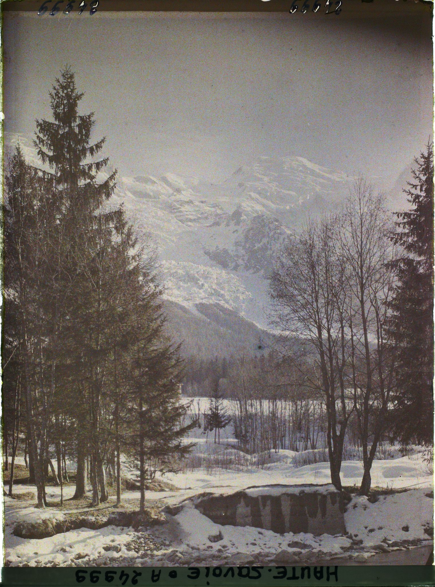 Image représentant France, Les Alpes-Vallée de Chamonix Paysage de la Vallée de Chamonix vers le Mt Blanc et le glacier des Bossons