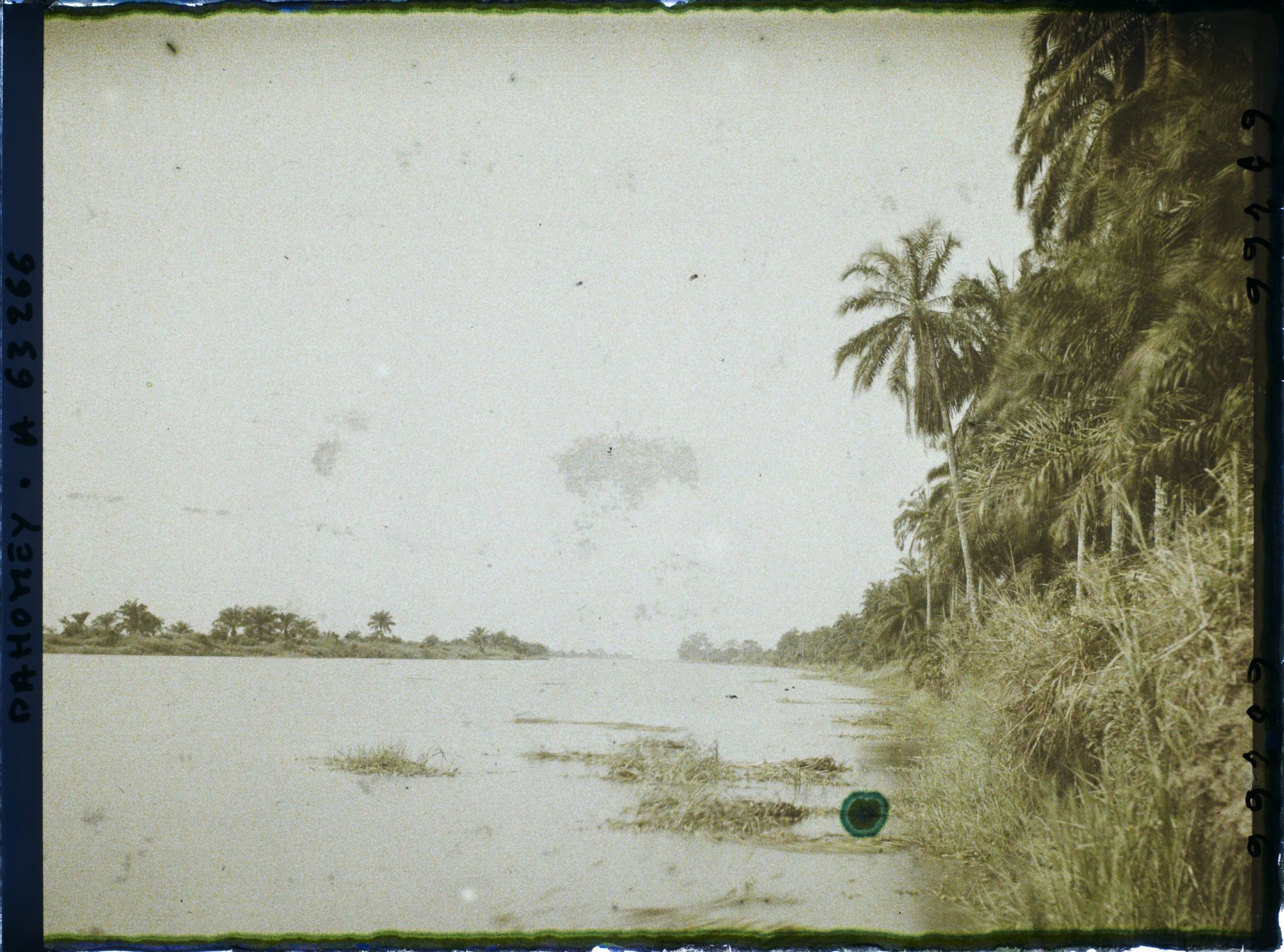 Image représentant Les rives de l'Ouémé