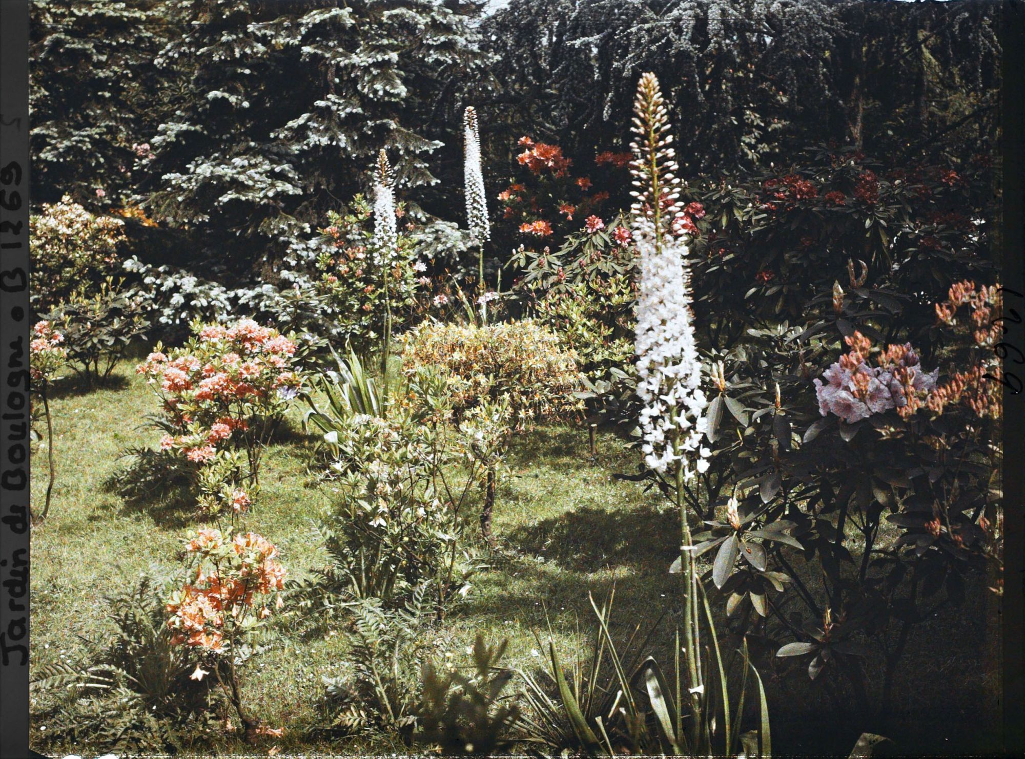 Image représentant Pelouse près du marais