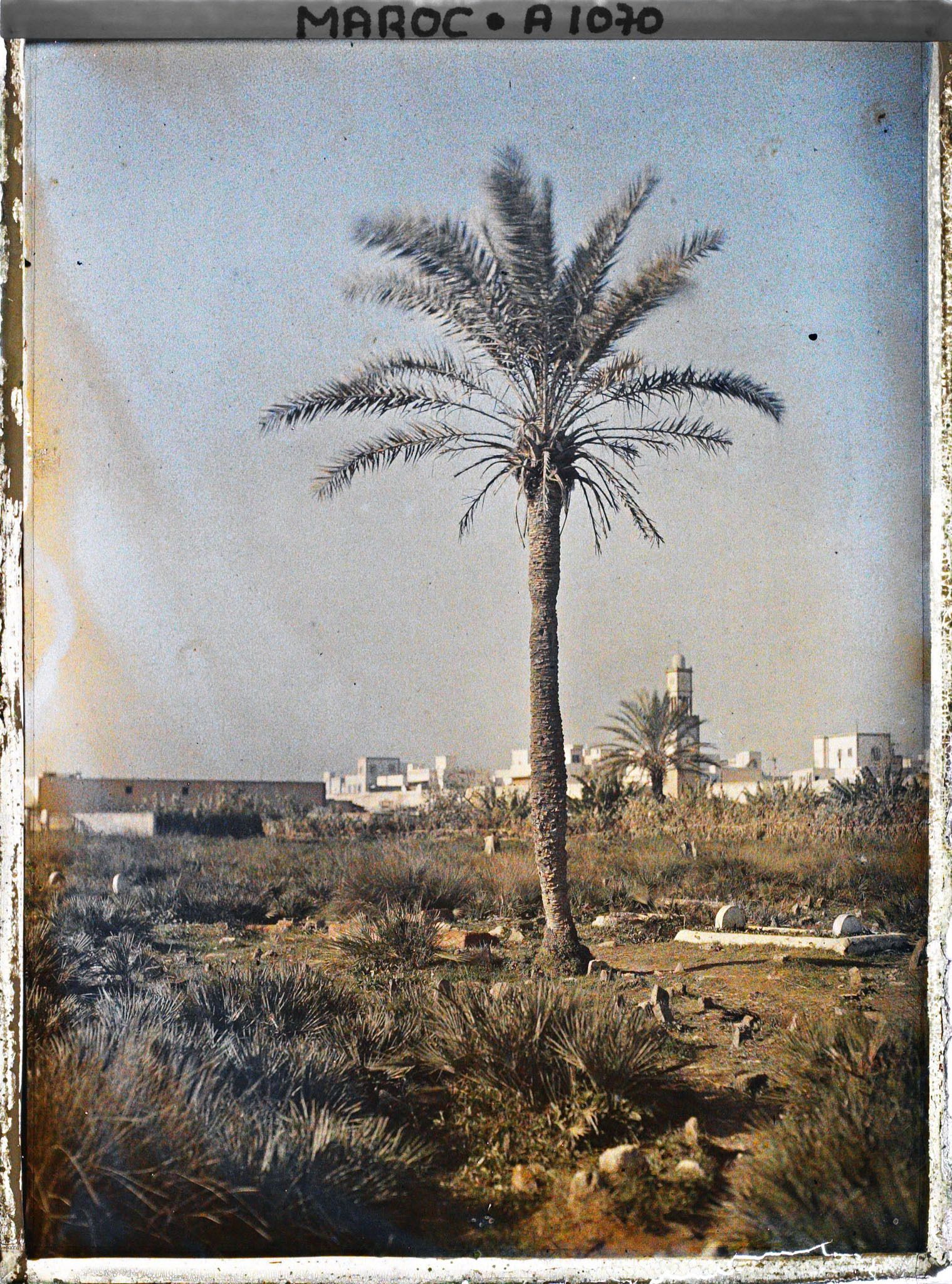 Image représentant Une partie du cimetière musulman