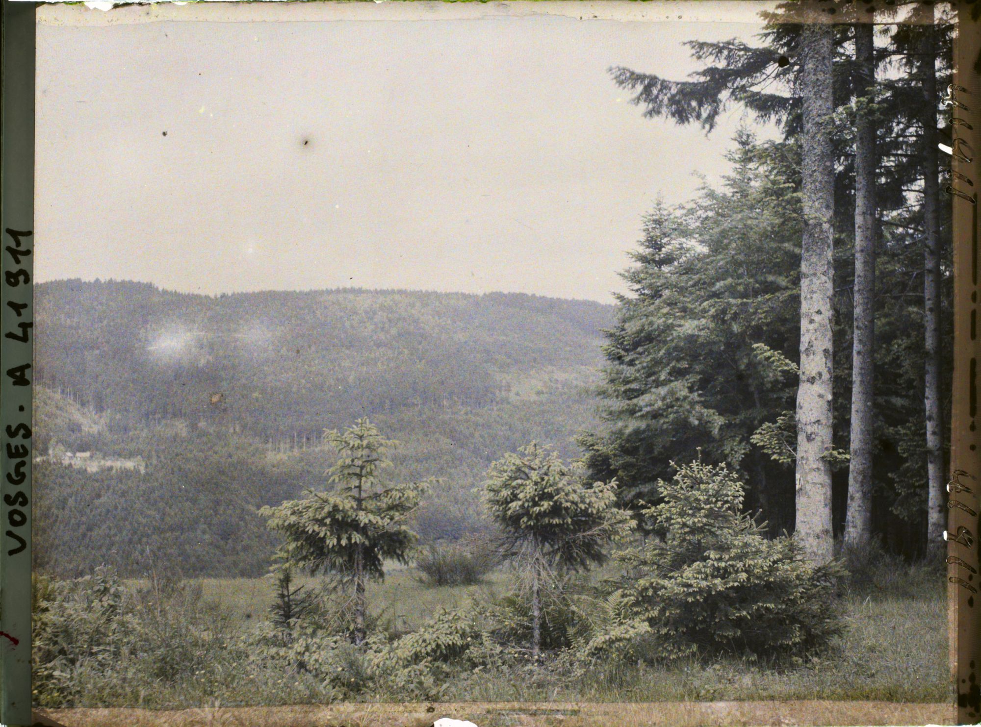 Image représentant France, Le Donon, Une vue de la Vallée de la Celles