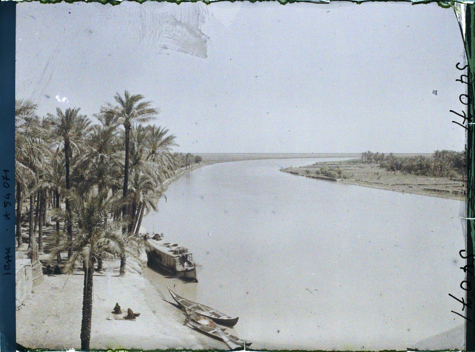 Image représentant Le Tigre