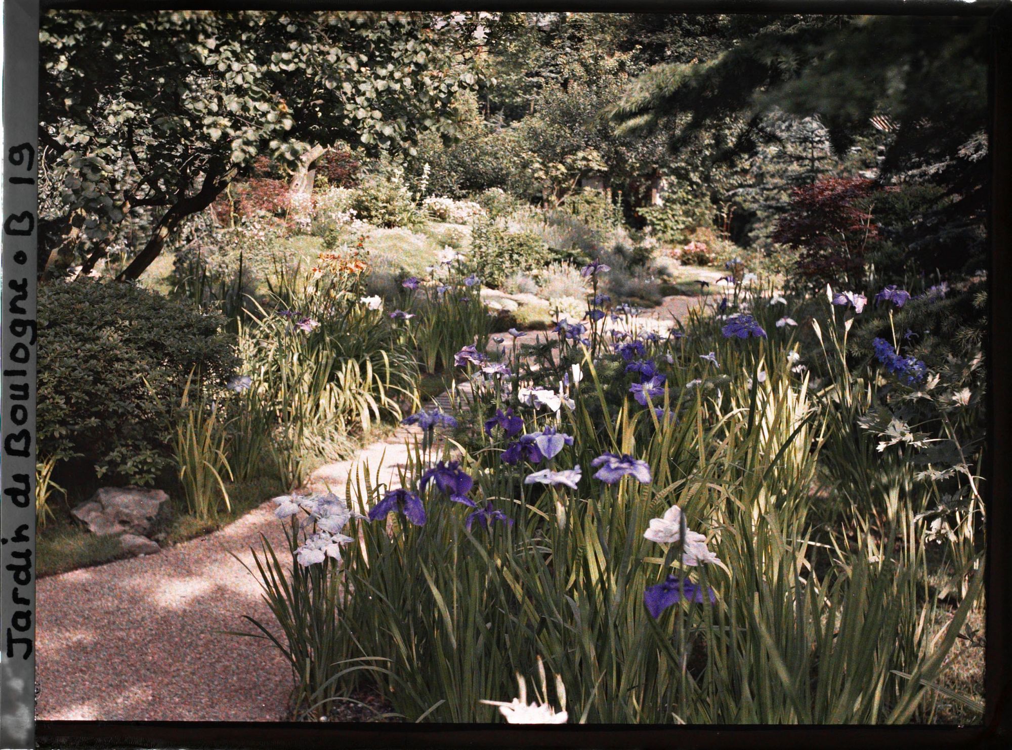 Image représentant Chemin du " sanctuaire japonais " bordé d'iris, menant vers la porte du " village japonais "