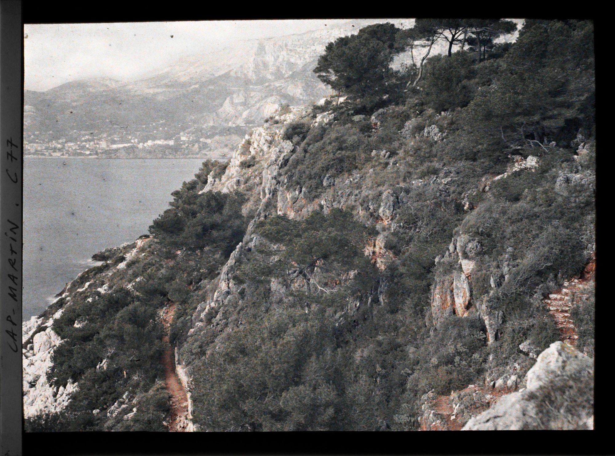 Image représentant Vue sur Monte Carlo depuis Cap Martin