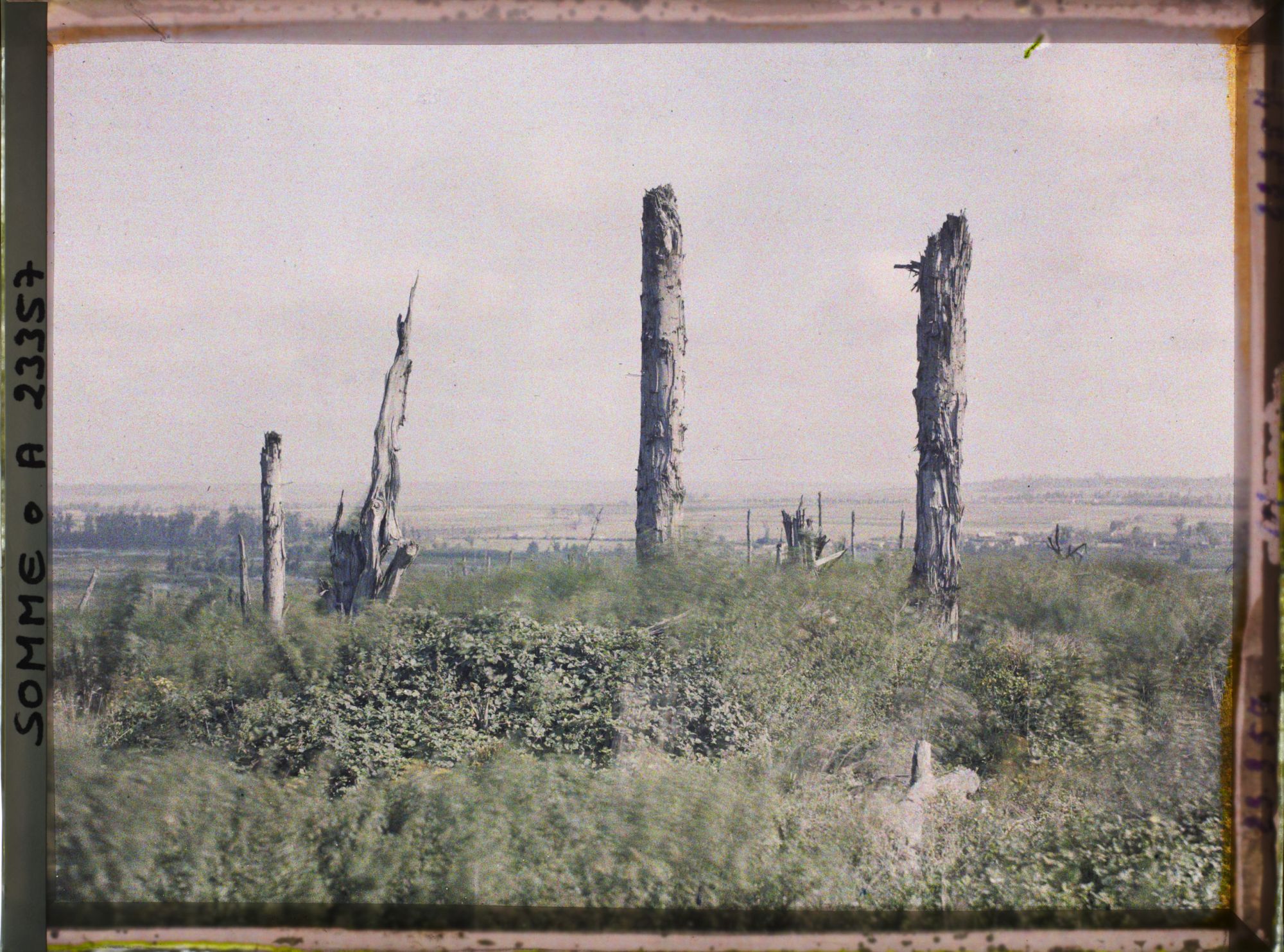 Image représentant France, La Maisonnette, Aspect de l'emplacement du domaine de la Maisonnette