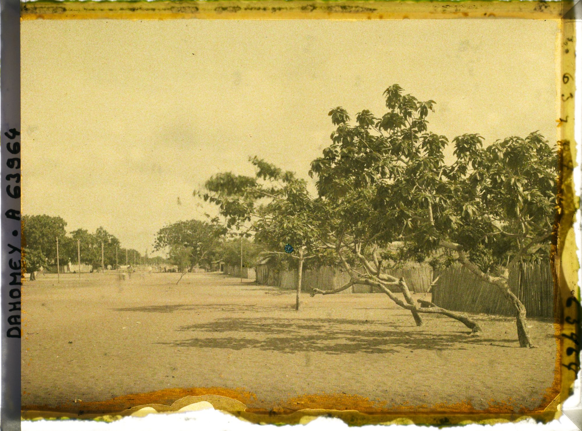 Image représentant Une avenue