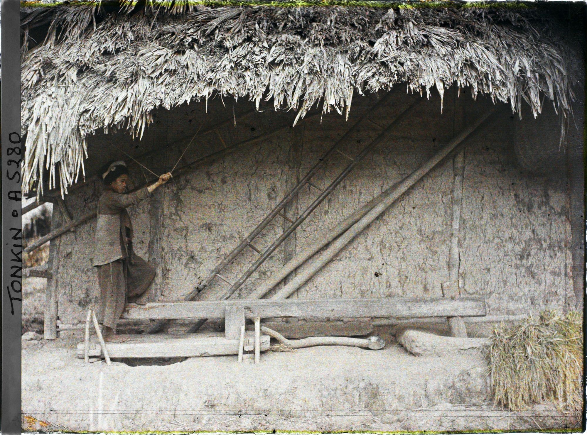 Image représentant Une jeune fille actionnant au pied le pilon à blanchir le riz, dans une cour de ferme après la moisson du riz