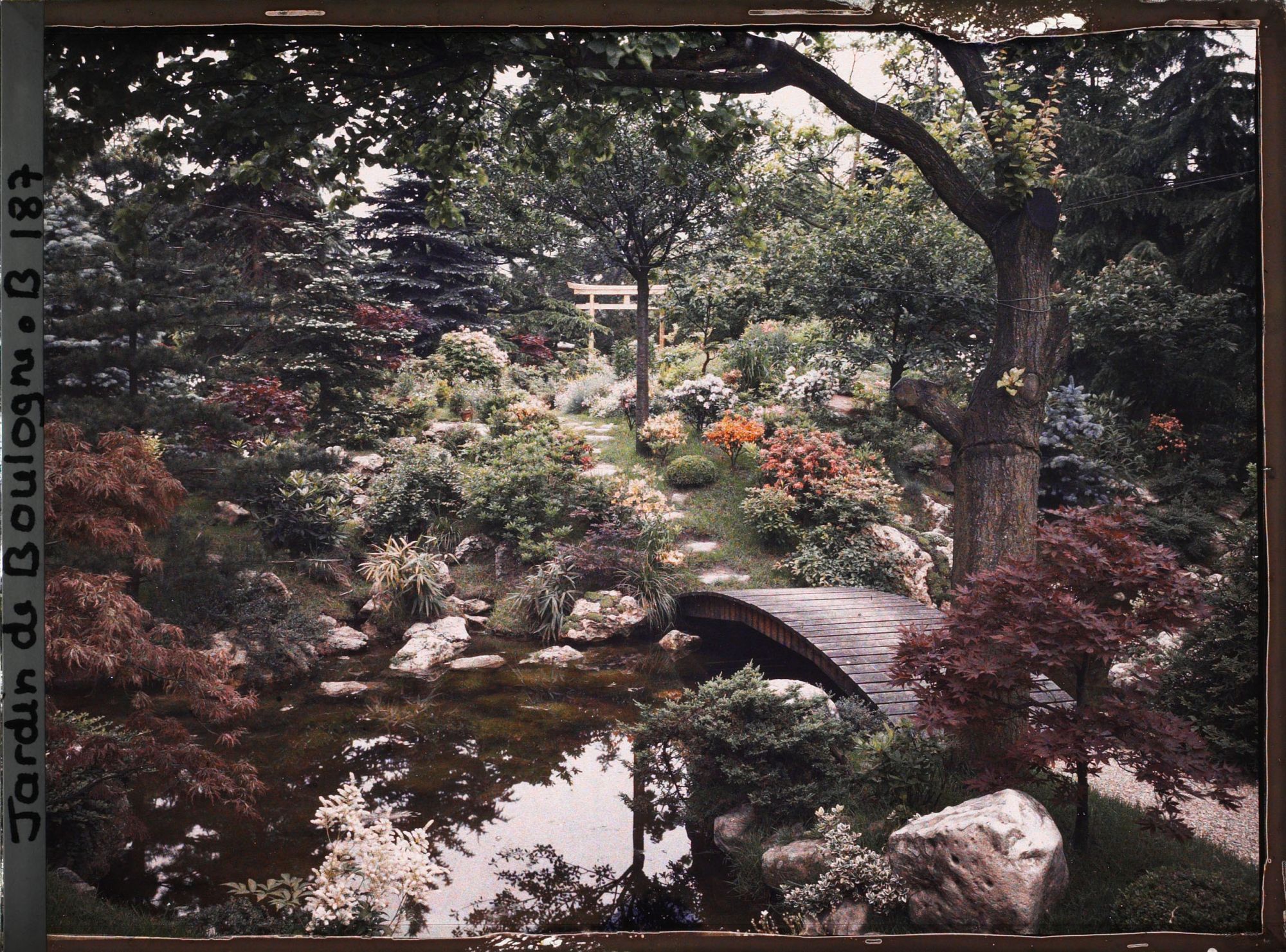 Image représentant Torii du " sanctuaire japonais " au sommet de la rive fleurie d'un cours d'eau