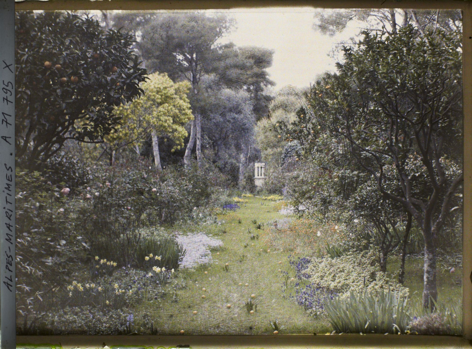 Image représentant Elément construit dans la prairie fleurie de la villa Cypris, bordée d'agrumes et d'arbustes en fleurs