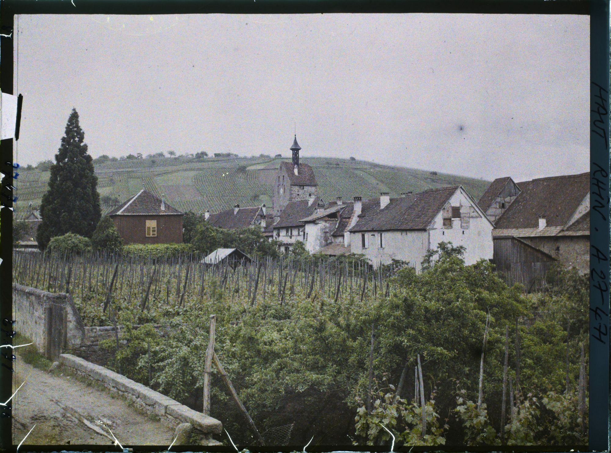 Image représentant France, Riquewihr, Vue d'ensemble sur les toits de Riquewihr
