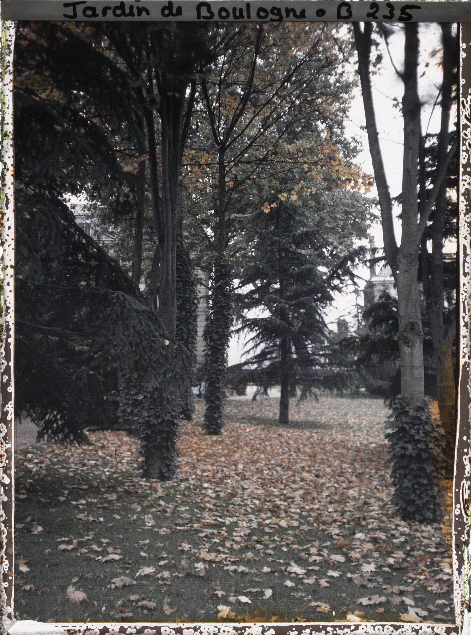 Image représentant Effet d'automne sur la Grande Pelouse à proximité de la dépendance