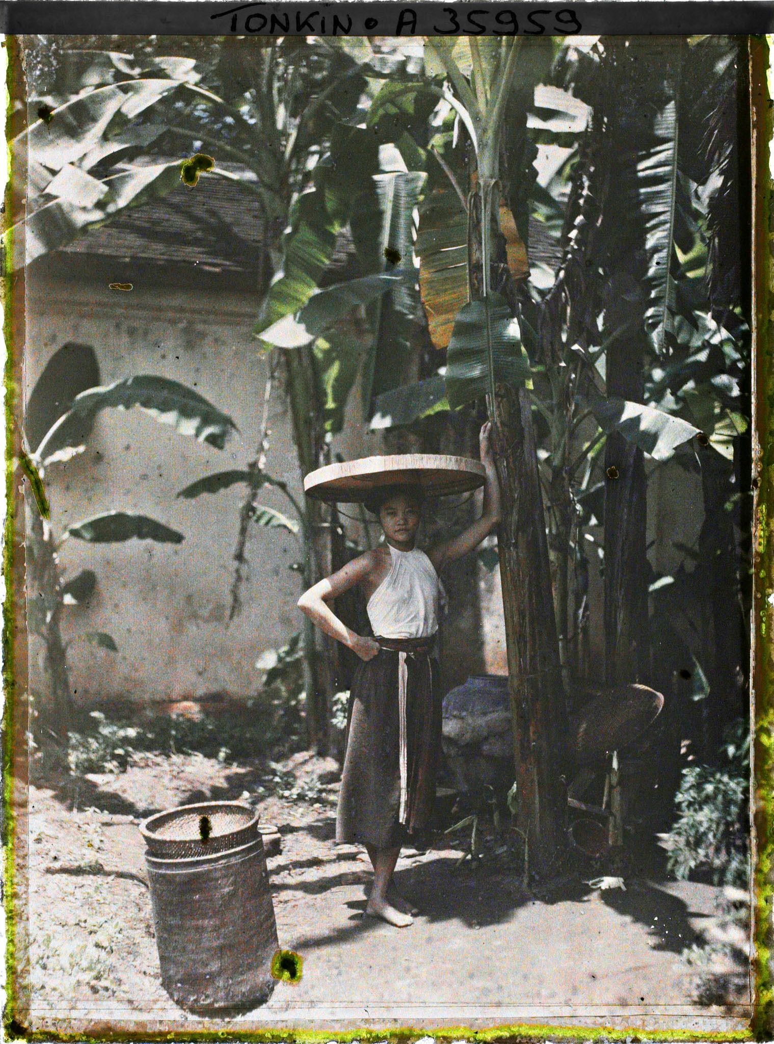 Image représentant Une jeune fille dans un coin de cour planté de bananiers