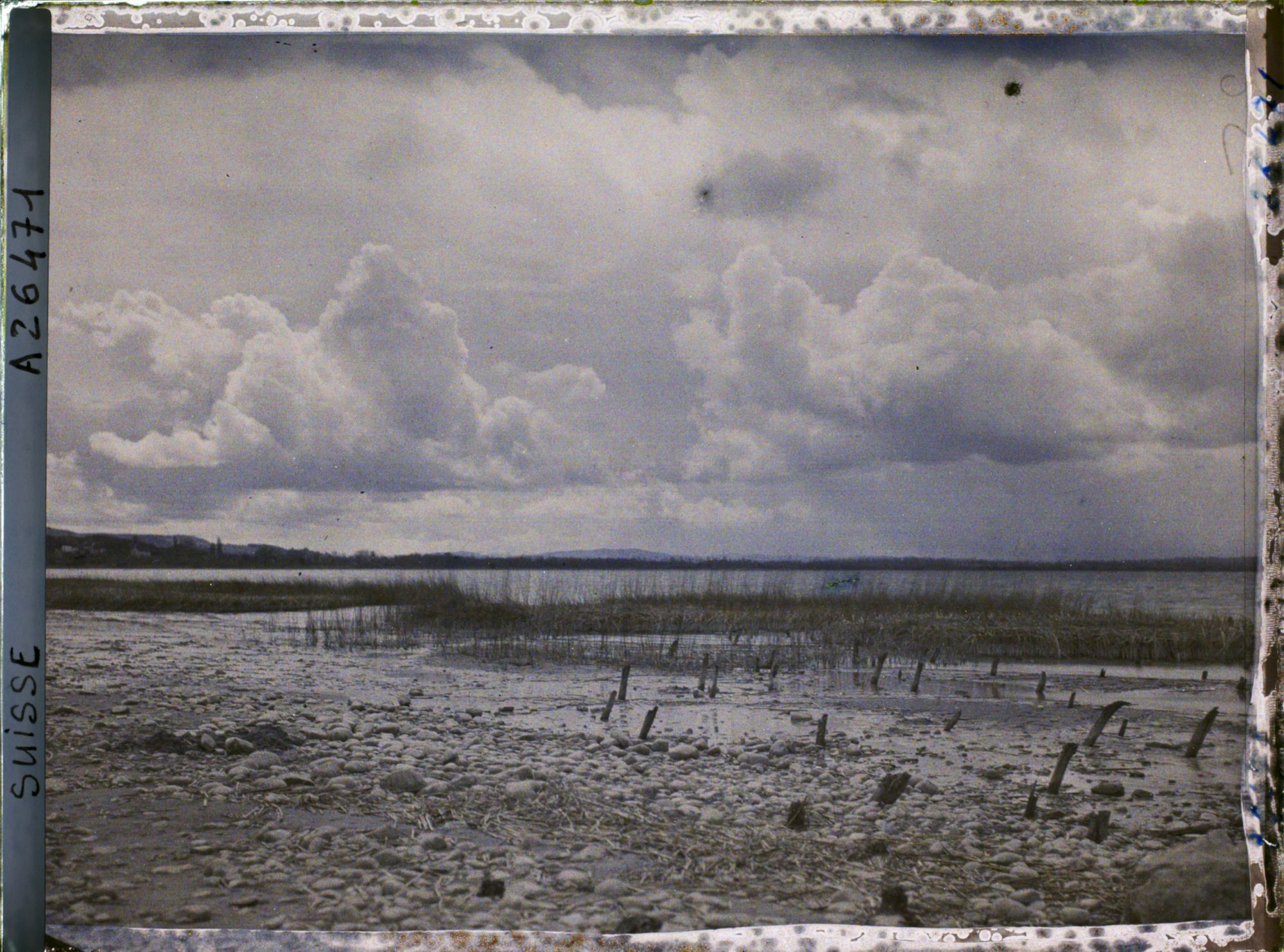 Image représentant Site palafittique préhistorique des Alpes, pieux en bois visibles lors de la baisse des eaux après la grande sécheresse de 1921