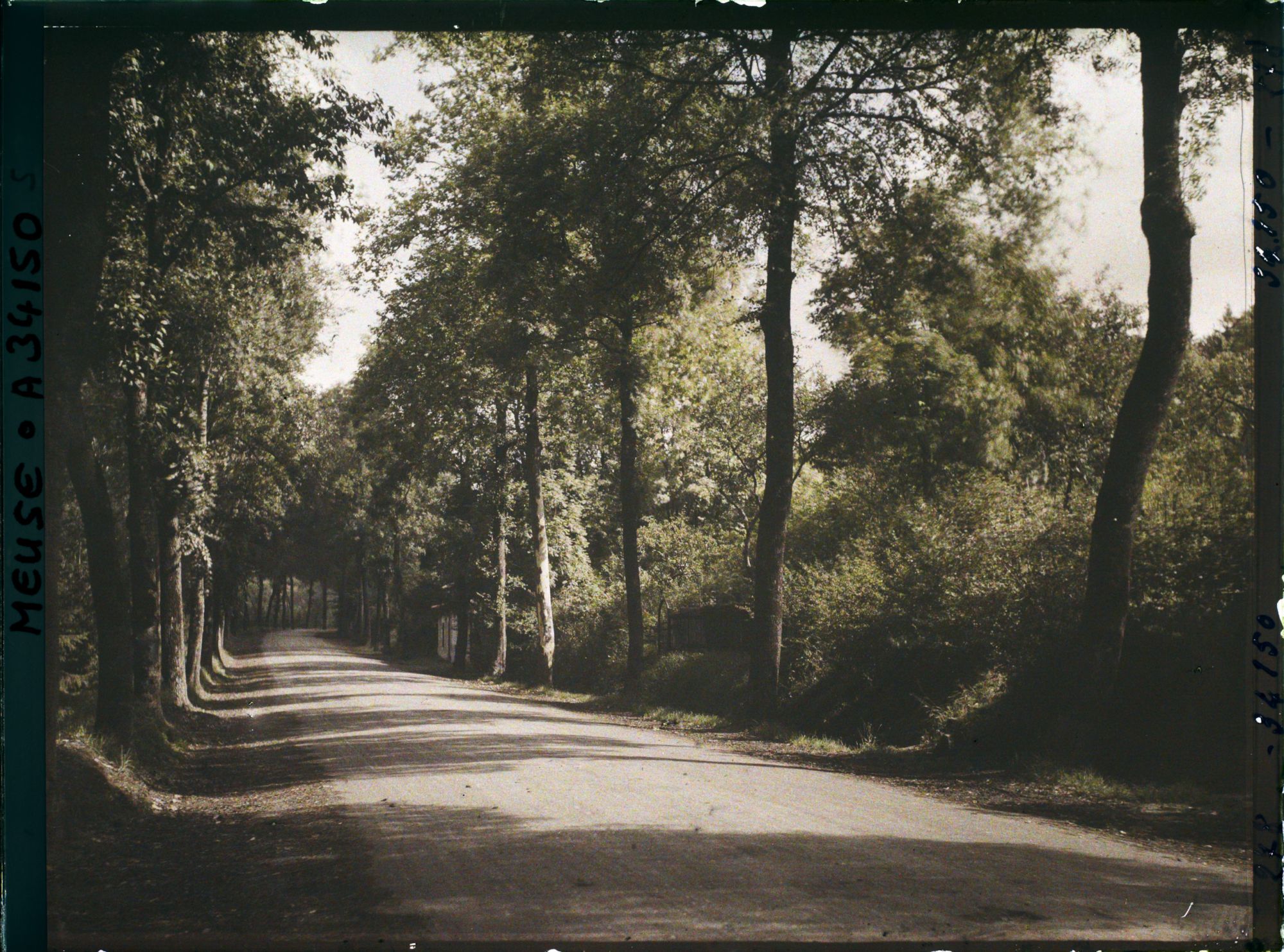 Image représentant France, Bar-le-Duc, La Voie Sacrée à sa sortie de Bar le Duc, vue prise vers Verdun (route de
