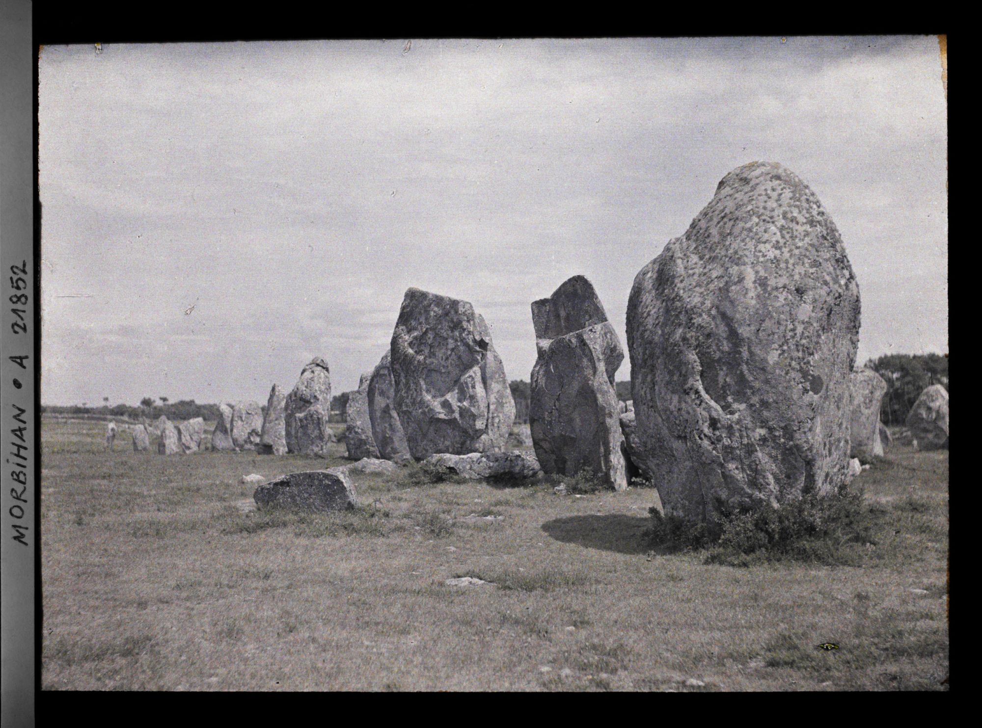 Image représentant Alignements de menhirs