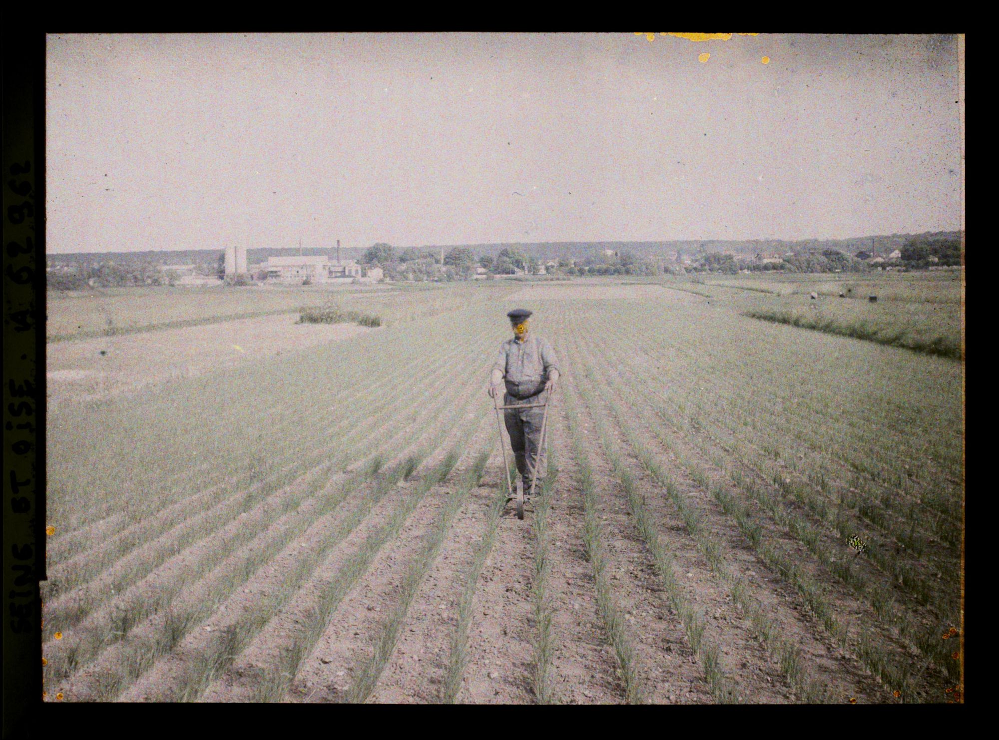 Image représentant Ile de France, Poissy, Champ de poireaux