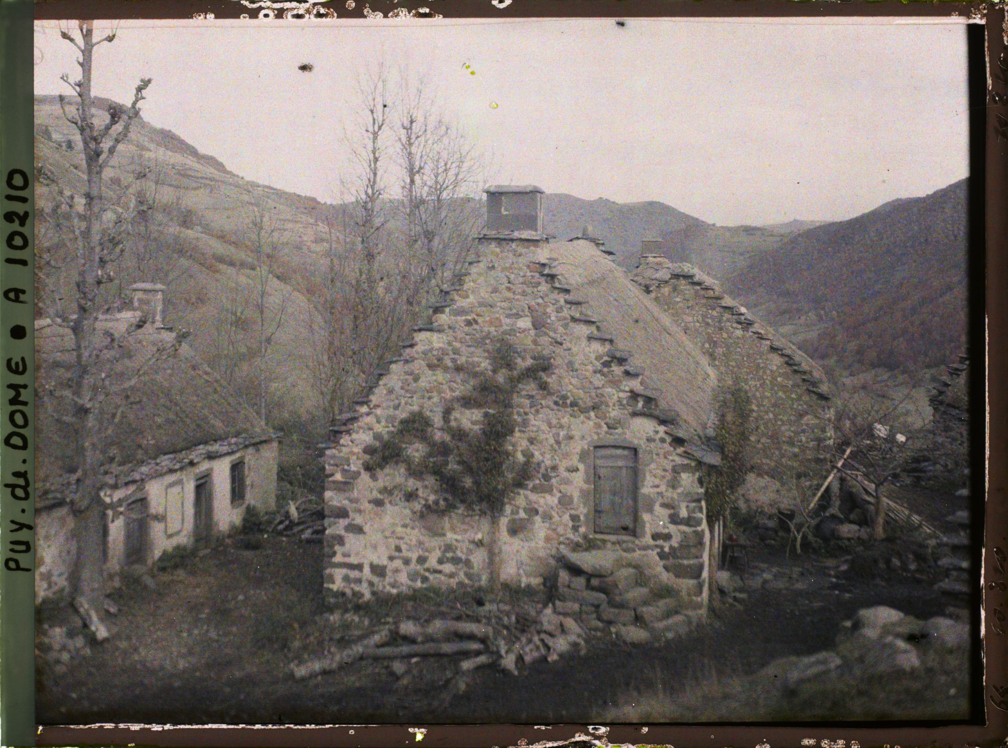 Image représentant France, Besse, Sur les bords du Pavin