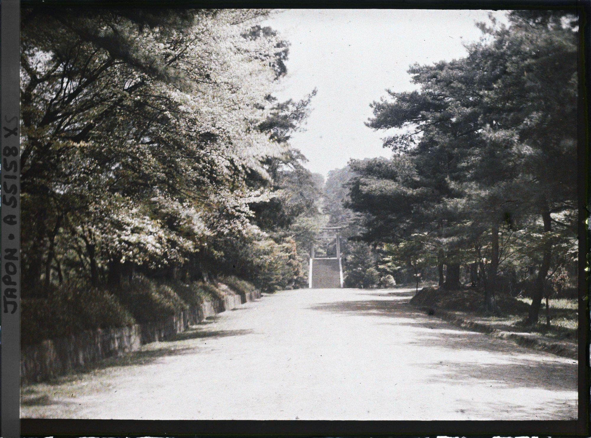 Image représentant Allée menant au deuxième torii (Ni-no-torii) de l'entrée du sanctuaire Hôkoku-jinja (Toyokuni-jinja)