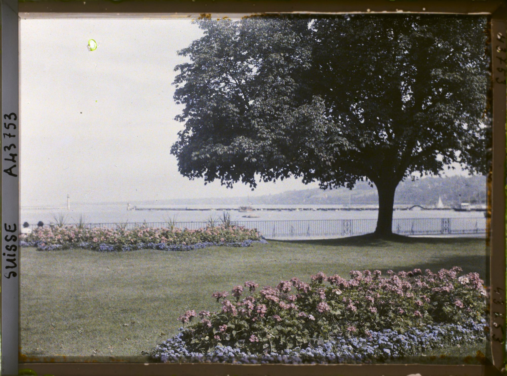 Image représentant Le Jardin anglais et le Léman