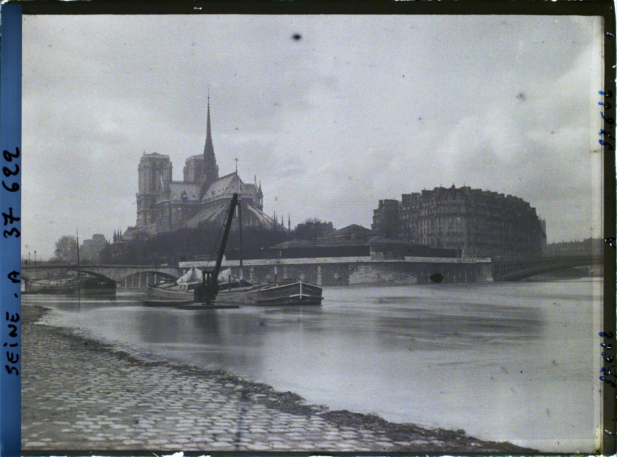 Image représentant La cathédrale Notre-Dame sur l'île de la Cité depuis le quai de la Tournelle