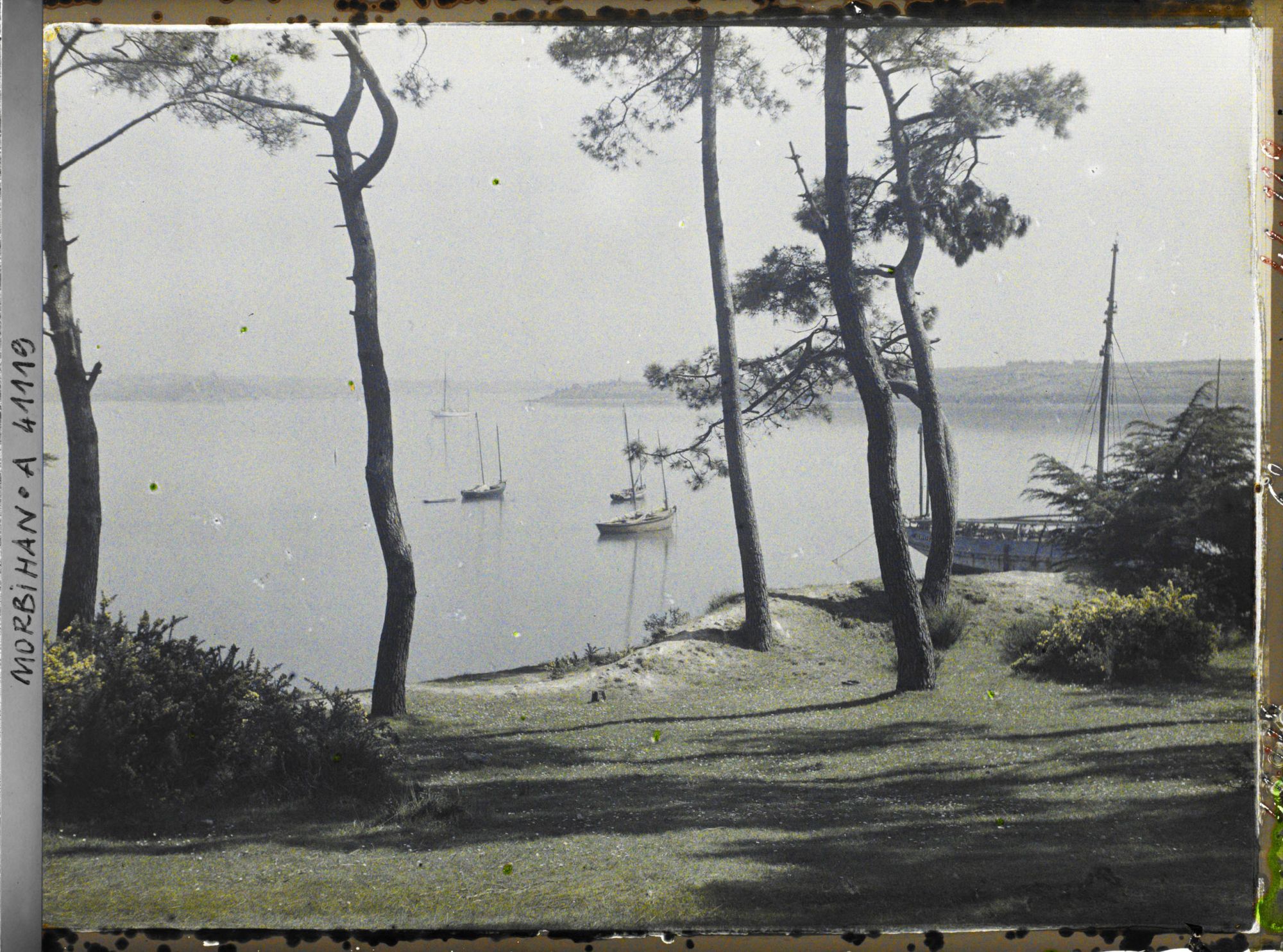 Image représentant Vue du port depuis le bois d'Amour