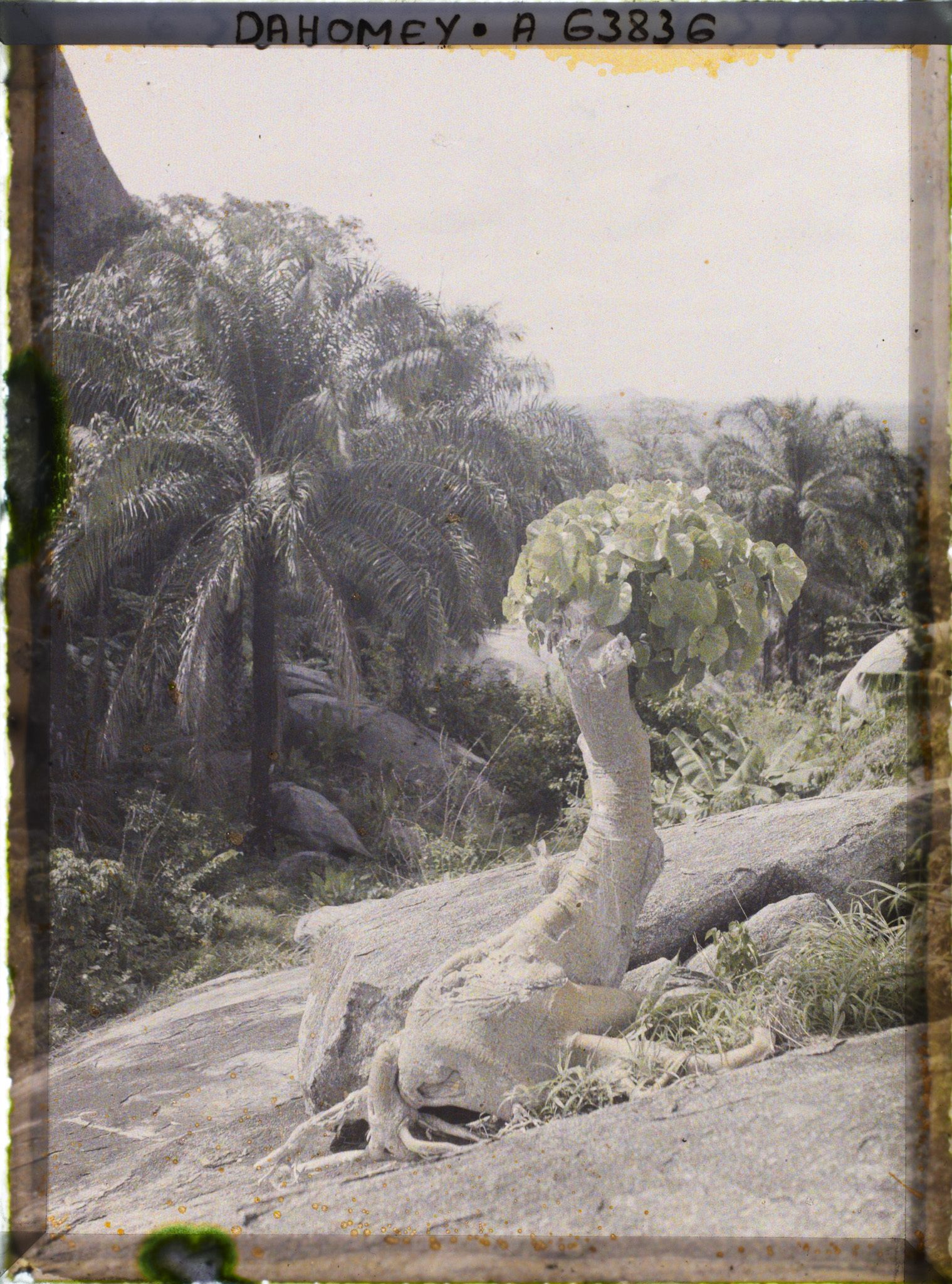 Image représentant Paysage de montagne